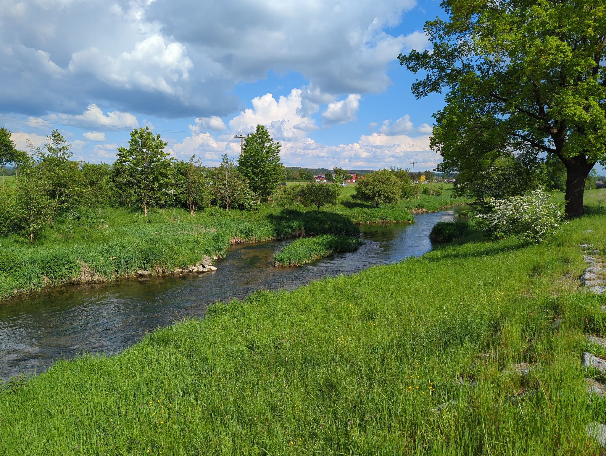 künstlich angelegte kleine Insel in der Mindel vor Pfaffenhausen