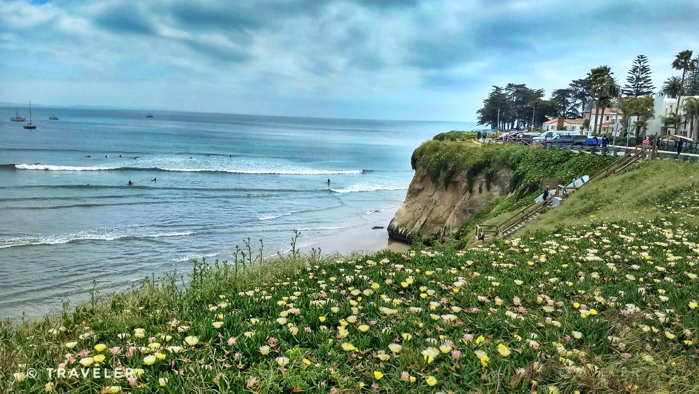 Bright coastal scene with flowering ice plant, ocean waves, and distant surfers. - West Cliff Cycleway – Santa Cruz Lighthouse loop from Lighthouse Field State Beach