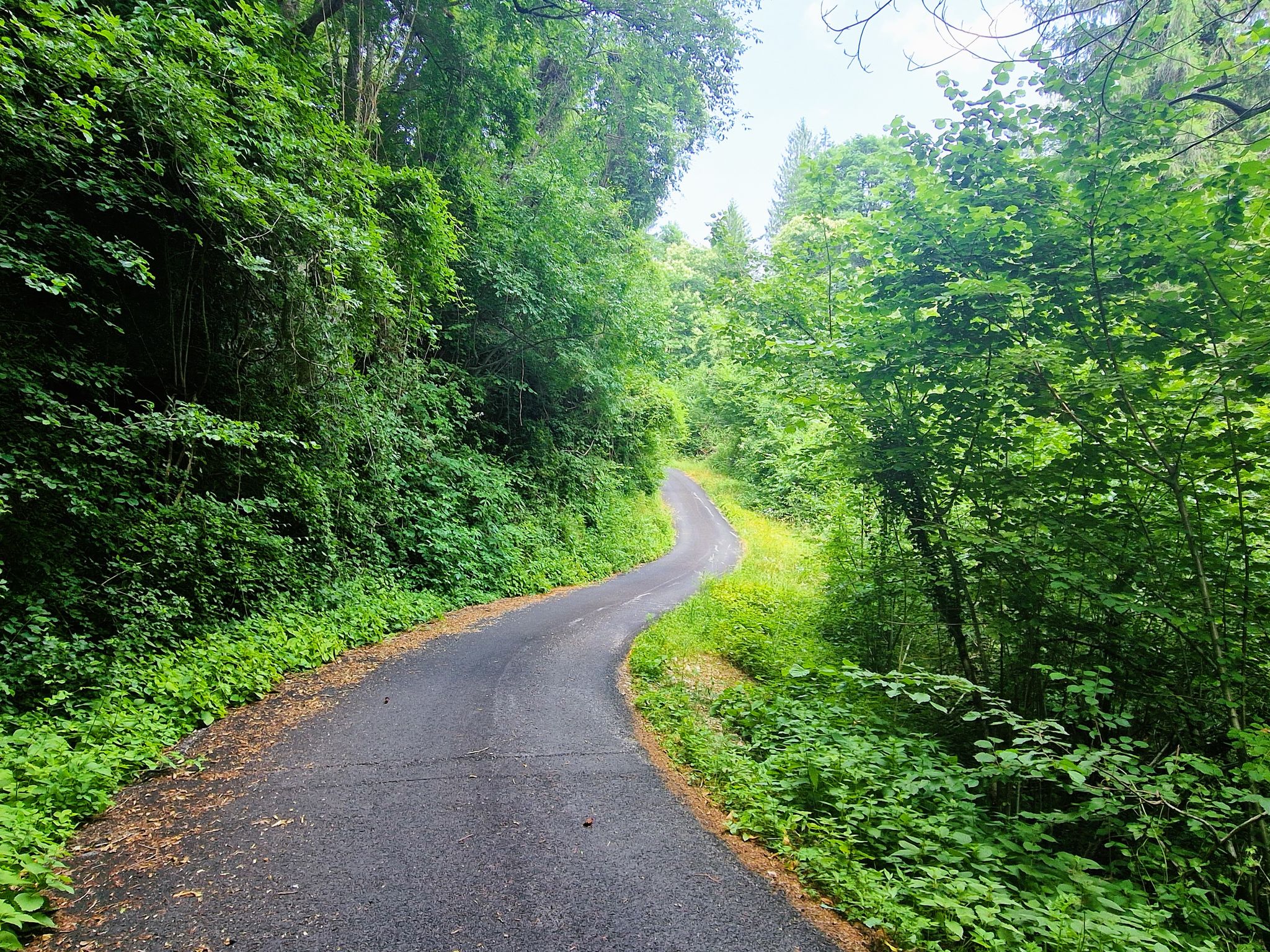 Auf Asphalt zur SS52