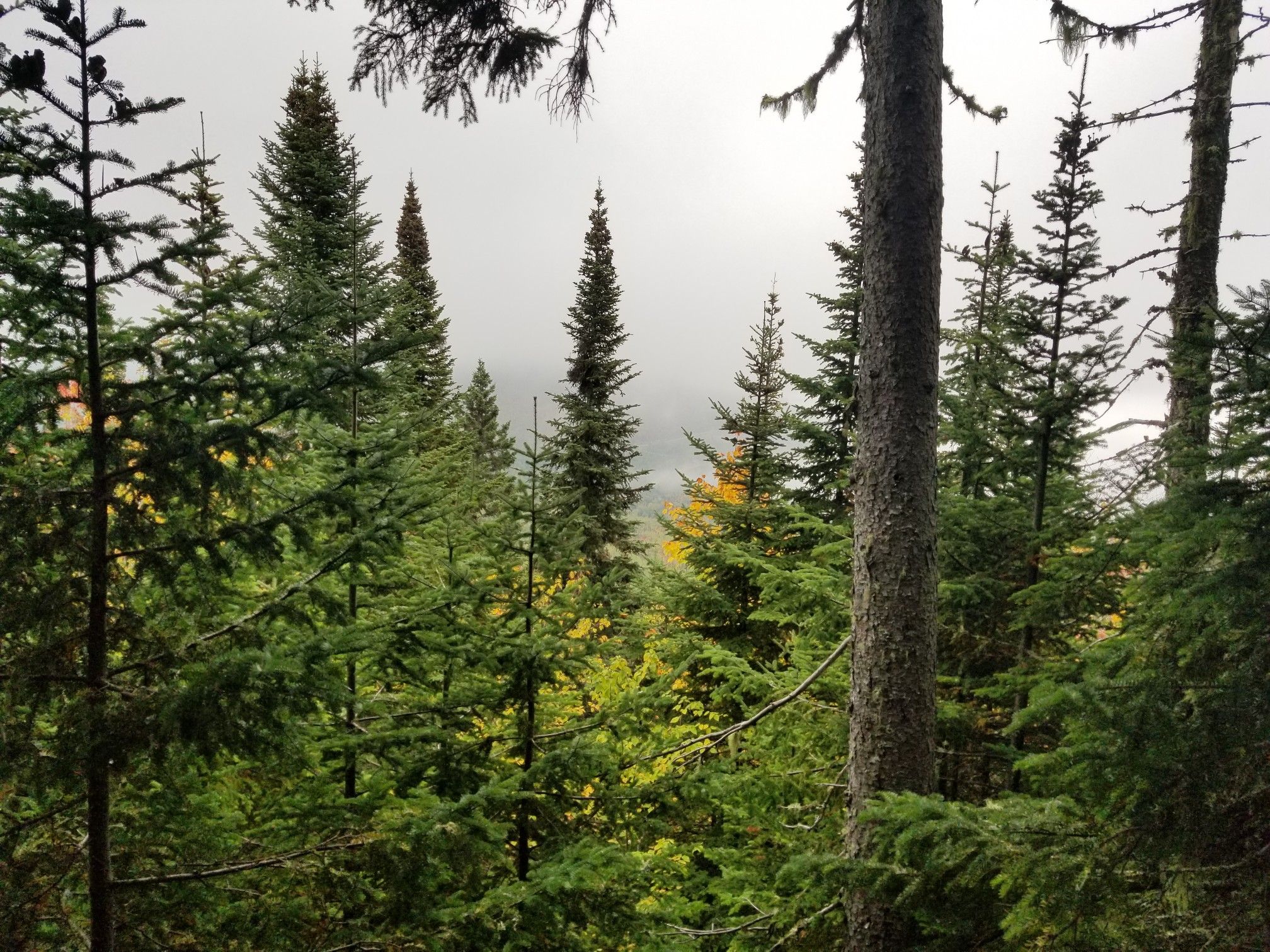 viewpoint