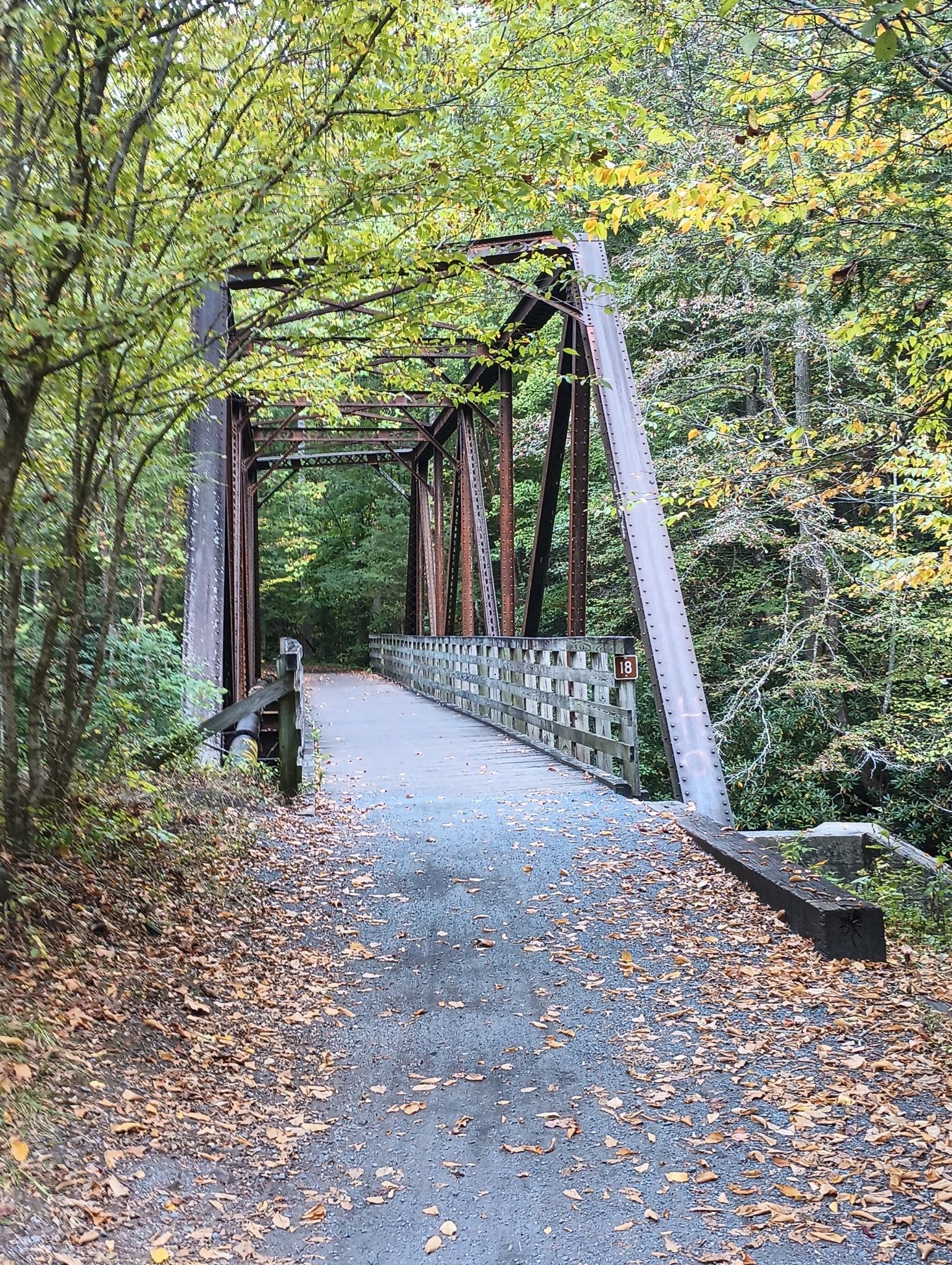 Rustic metal truss bridge over a path, surrounded by autumn trees. - Virginia Creeper Trail Loop
