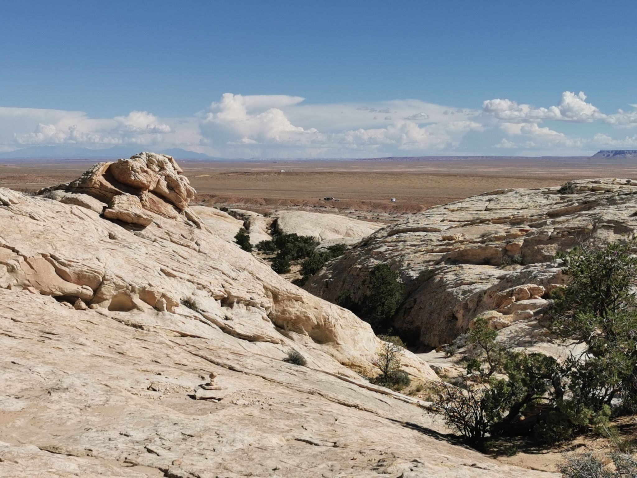 Desert landscape with light rock formations, sparse plants, and a wide horizon. - Wild Horse Window Trail