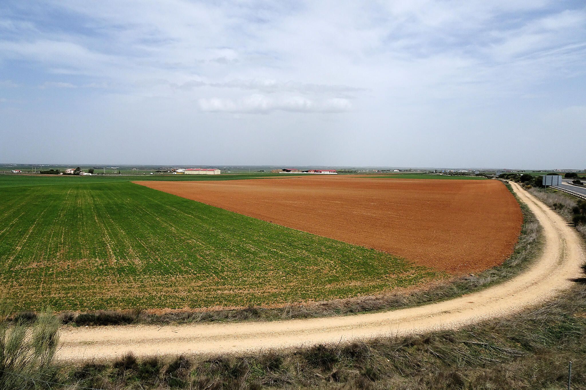 Campos armuñeses