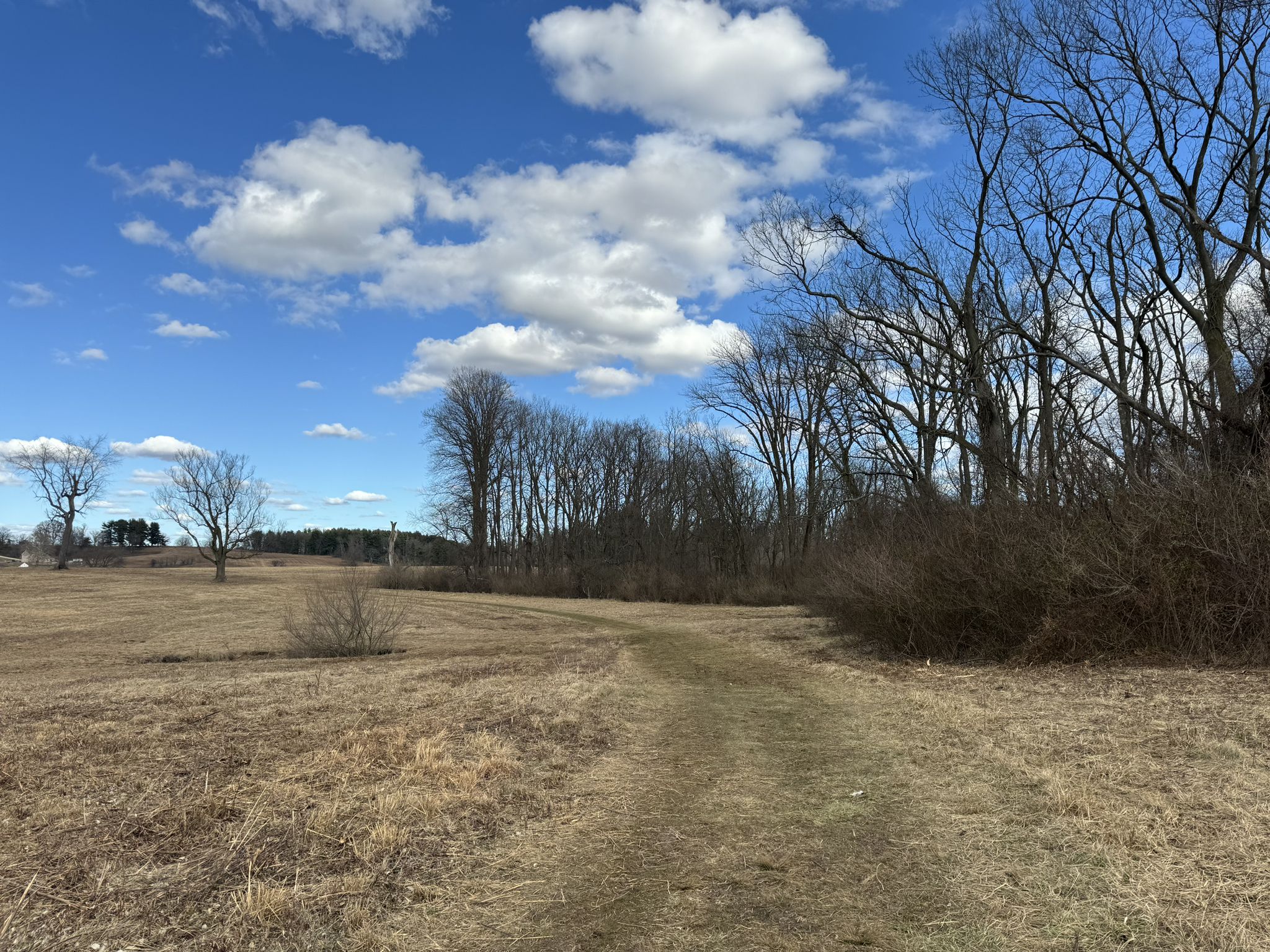 Dirt path through a dry field next to bare trees under a bright blue sky. - Joseph Plumb Martin Trail