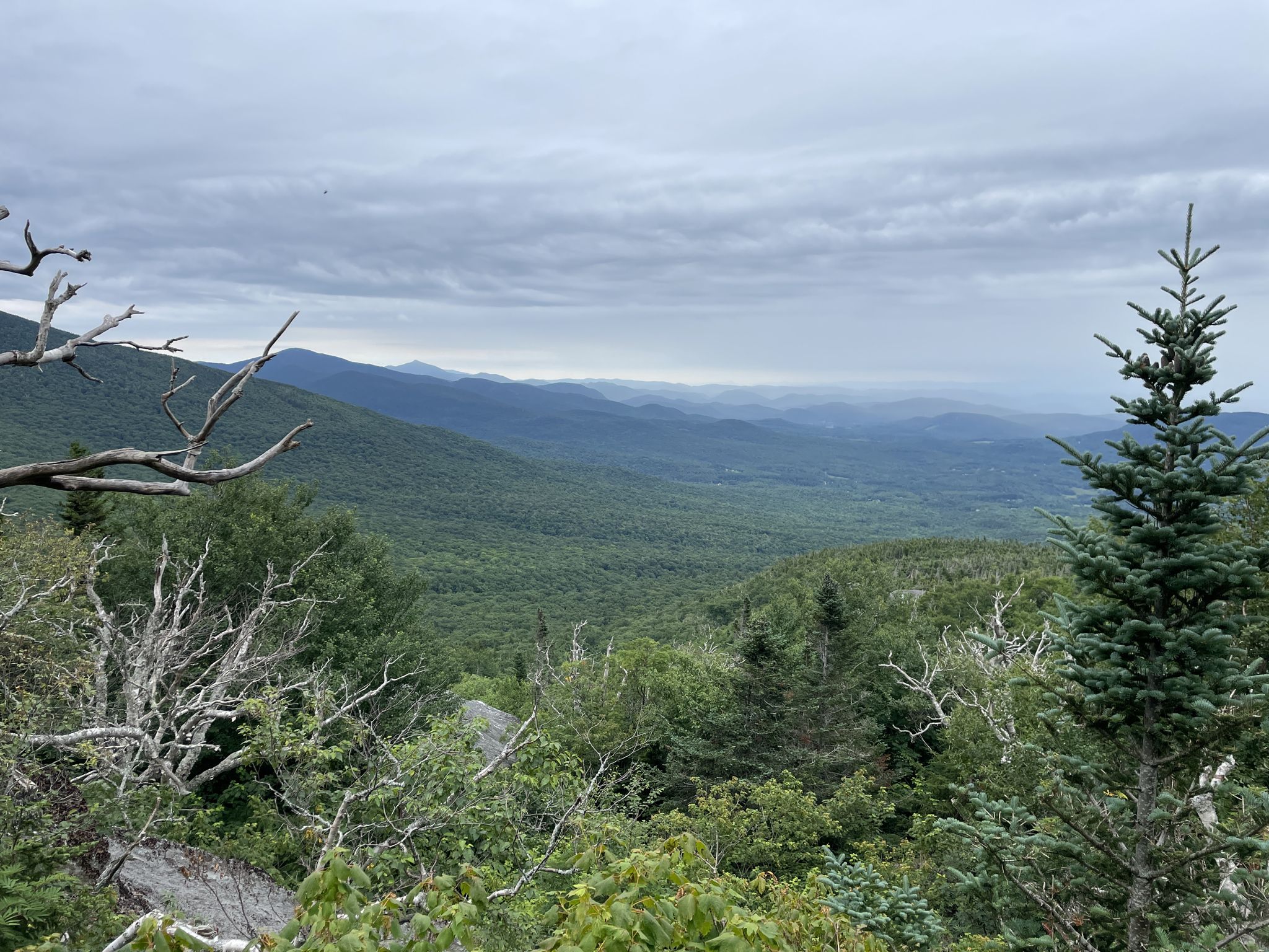 Rolling green mountains under a cloudy sky, with dense forest. - Cantilever Rock Trail