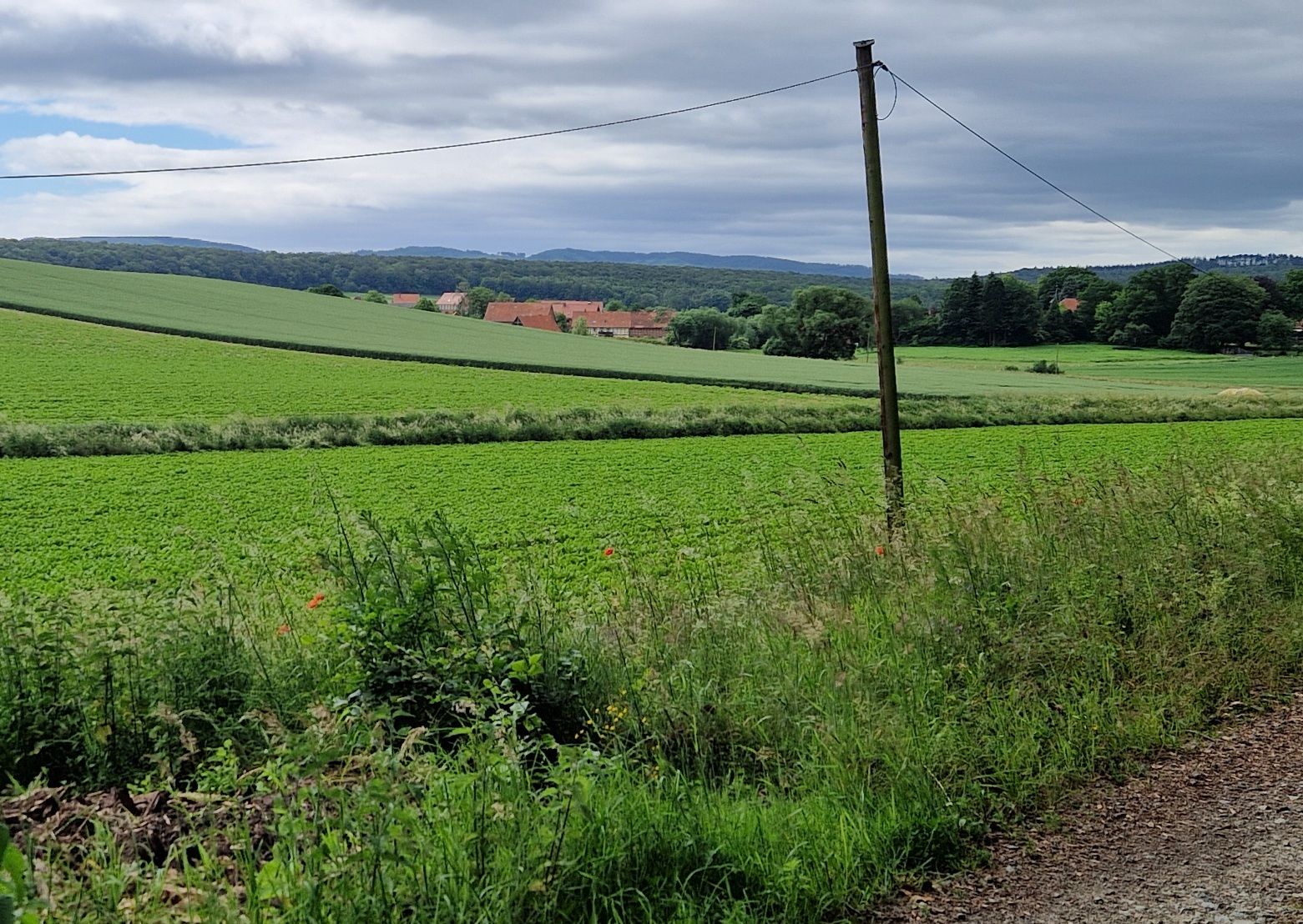 Aus dem Wald heraus ein wirklich schöner Blick über die Felder nach Bodenstein