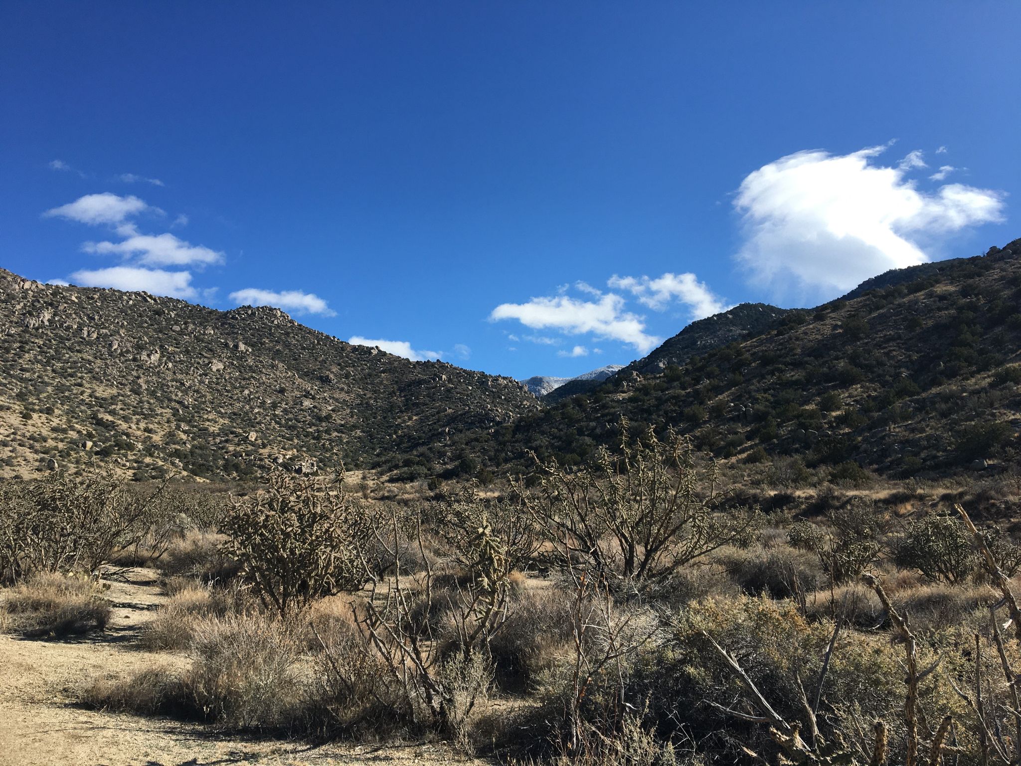 Arid desert landscape with sparse shrubs and rocky mountains under a blue sky. - South Sandia Peak via Embudito Trail