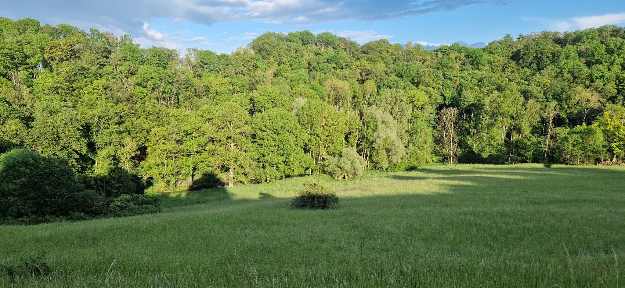 blick ins tal