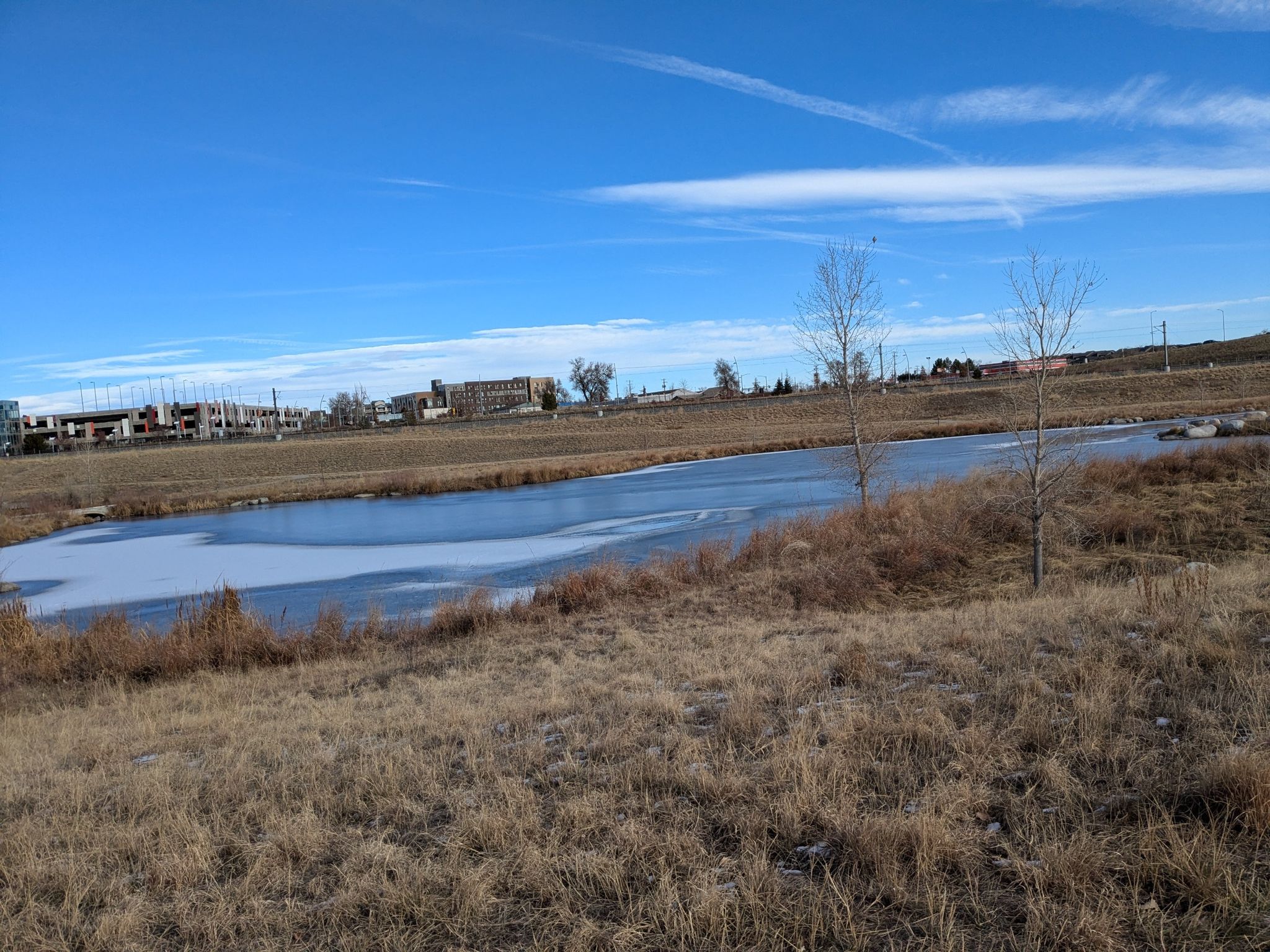 Partially frozen pond surrounded by dry winter grass and bare trees. - Big Dry Creek – Westminster Station Pond loop from Westminster