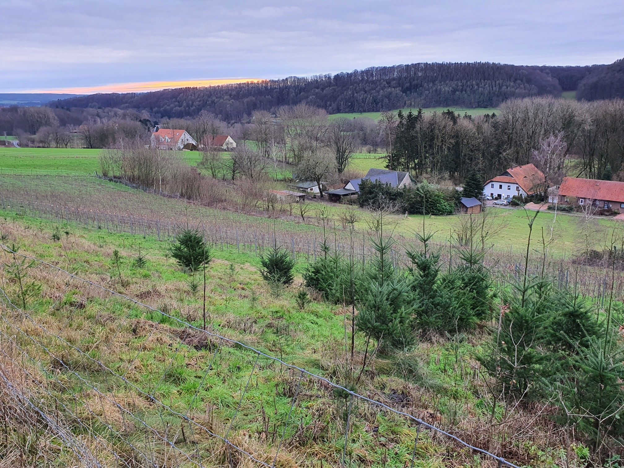 Blick auf einen Höhenzug des Teutoburger Waldes.