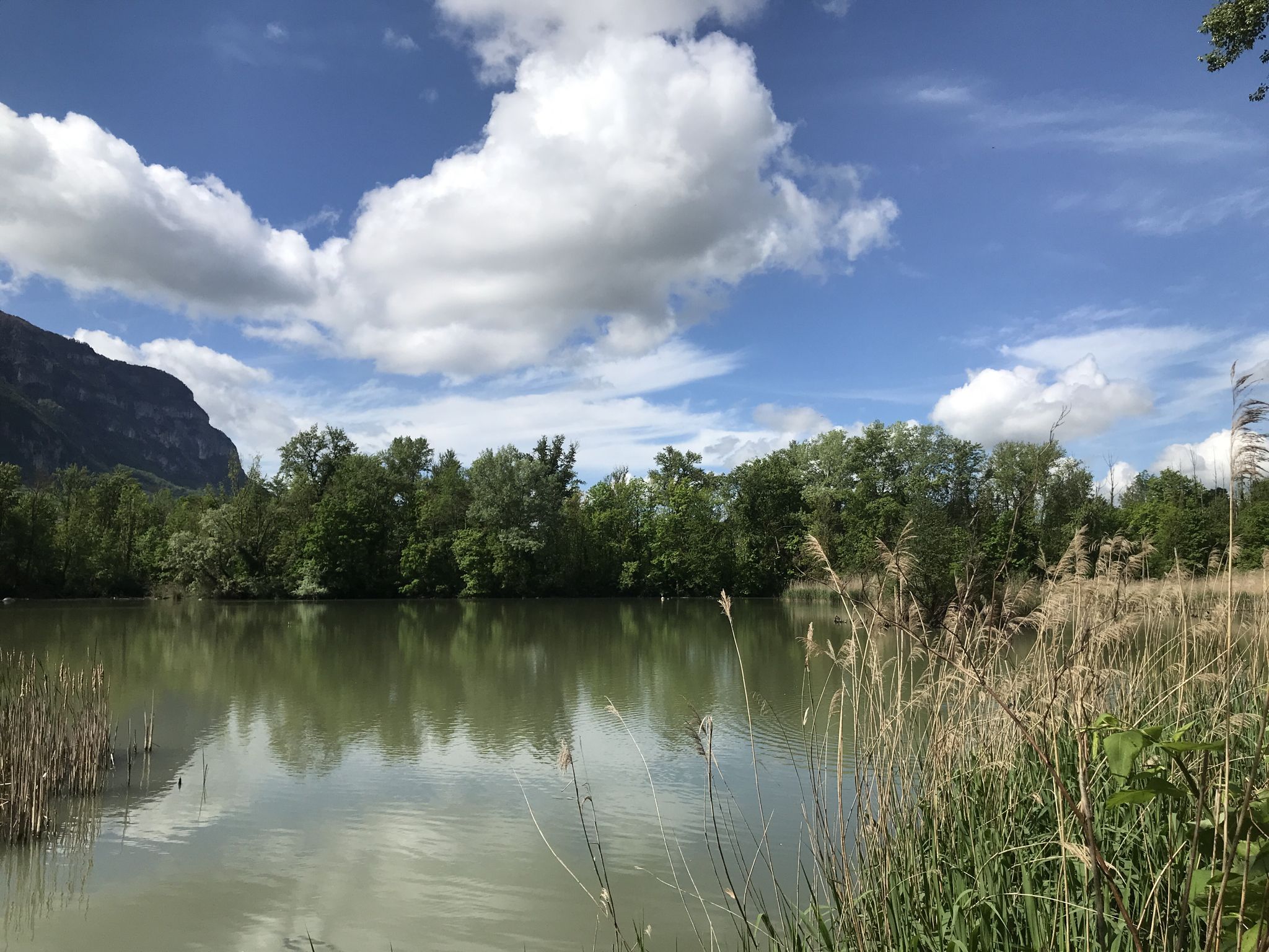 Les bords de l’Arve,