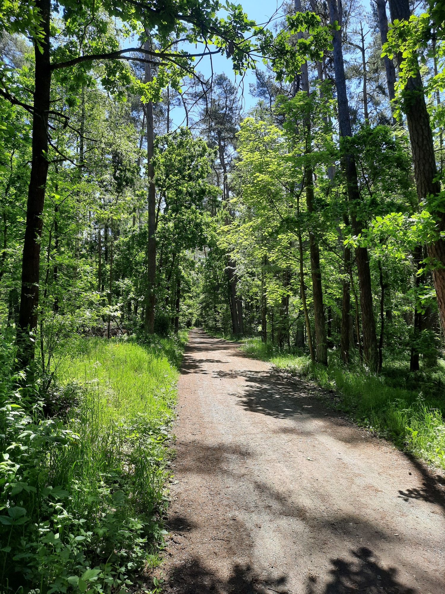 Schöner Radlweg 4 Km Lang