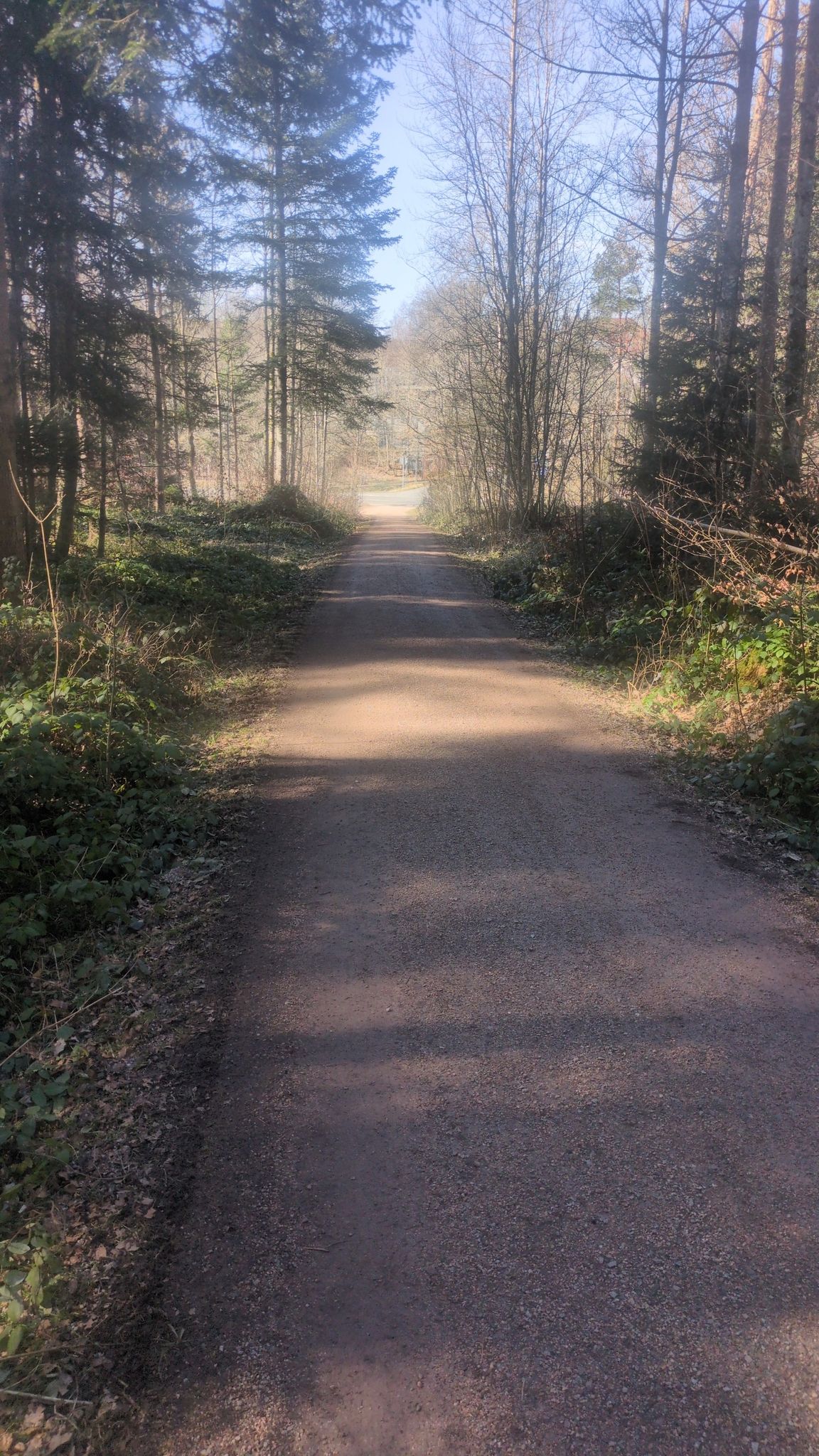 Bald daheim