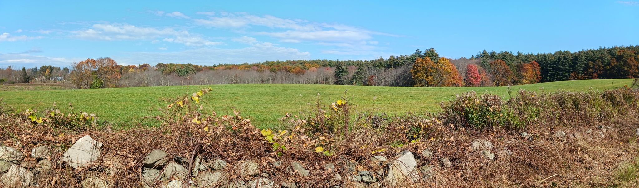 Expansive green field with a stone wall, backed by colorful autumn forest. - Harvard Center and Fruitlands loop