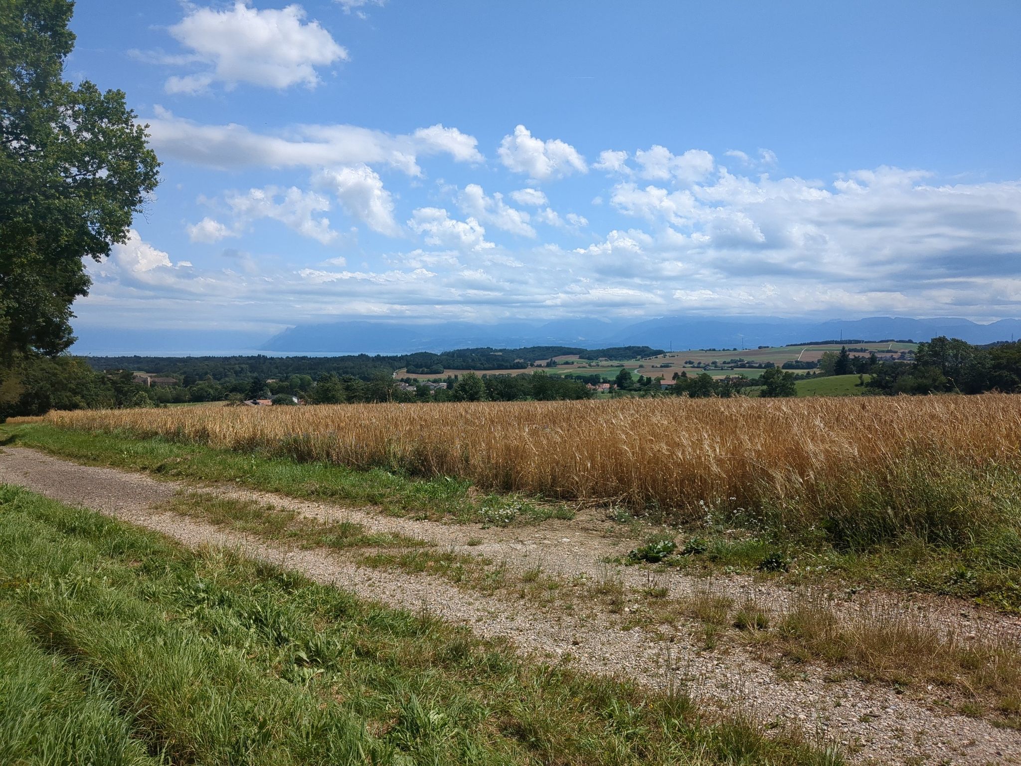 Nature et vue imediate