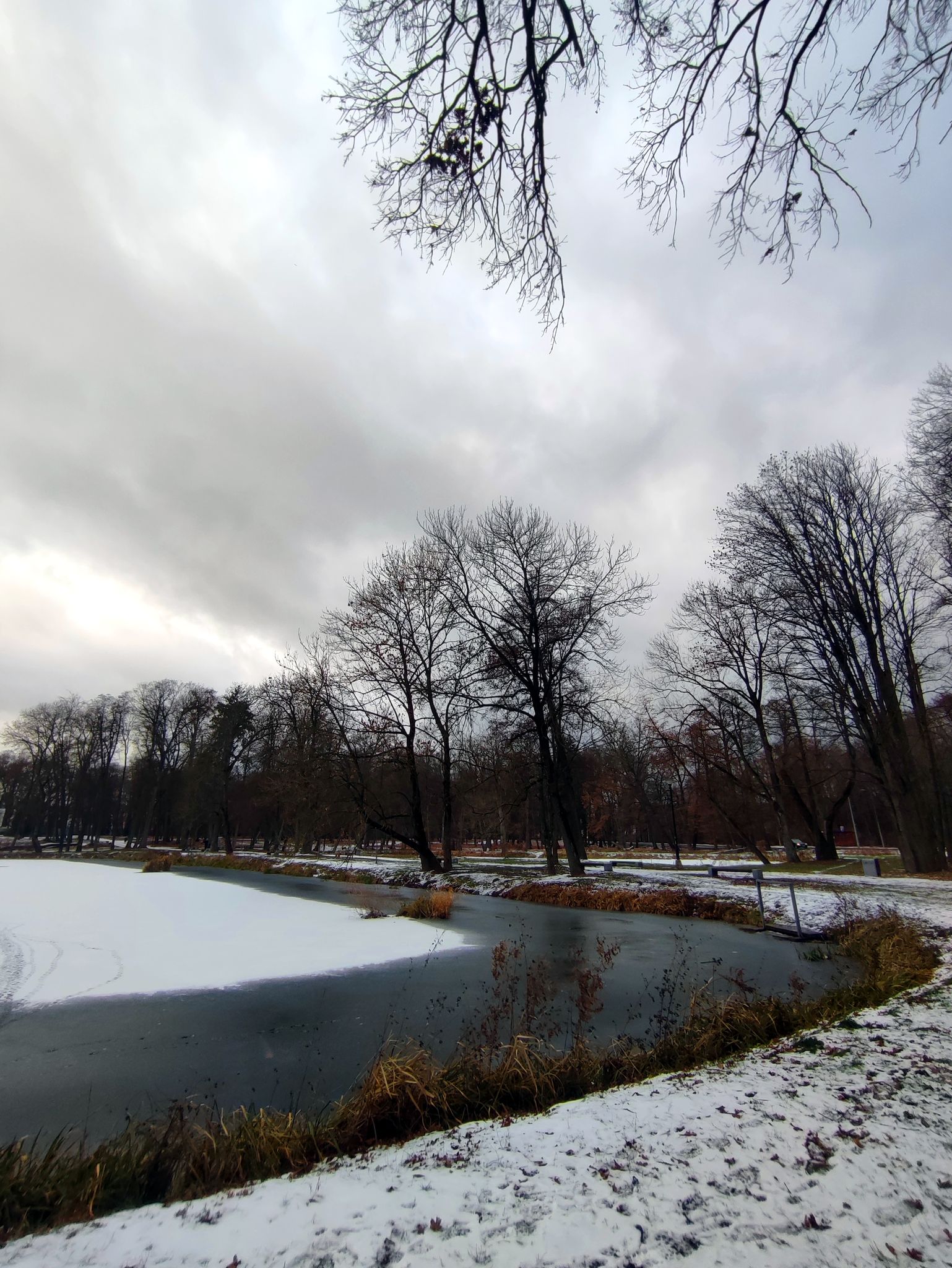 Park Lubomirskich. Dojlidy.