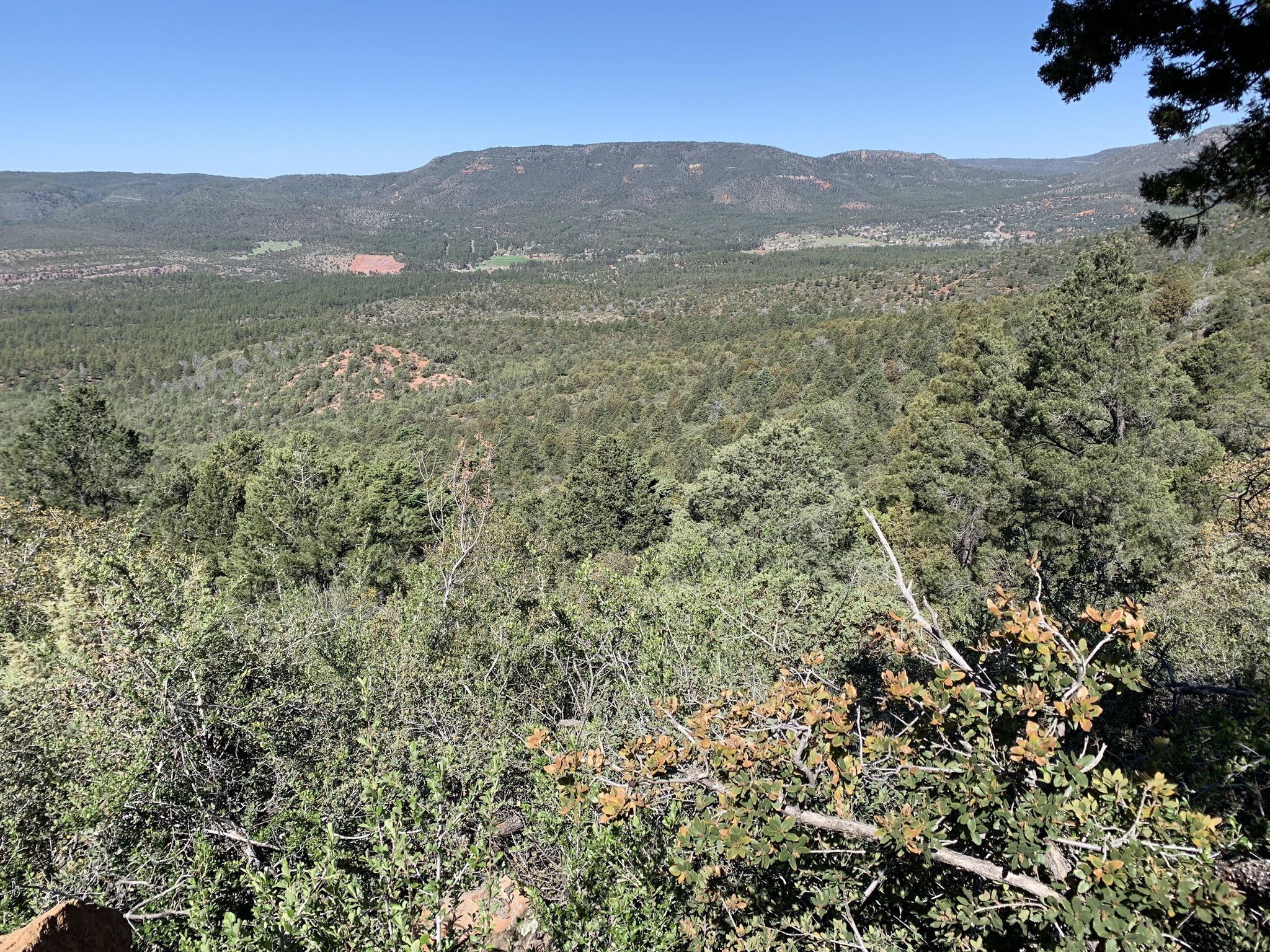 Expansive view of a green forested valley and distant mountains under clear sky. - Arizona Trail: Passage 26 - Highline