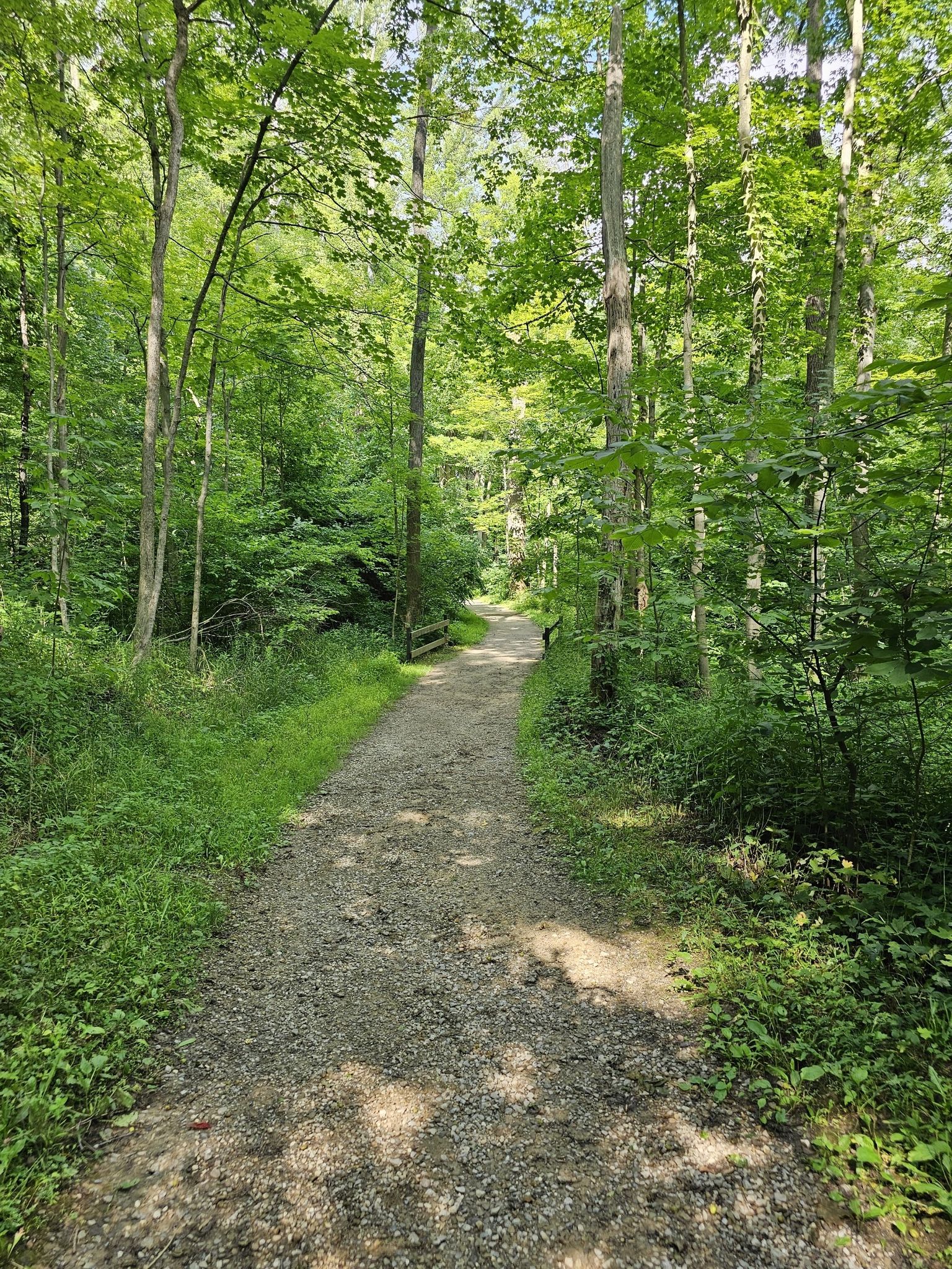 Gravel path winding through a sun-dappled, lush green forest. - Squire's Castle – Squire's Castle loop from Willoughby Hills