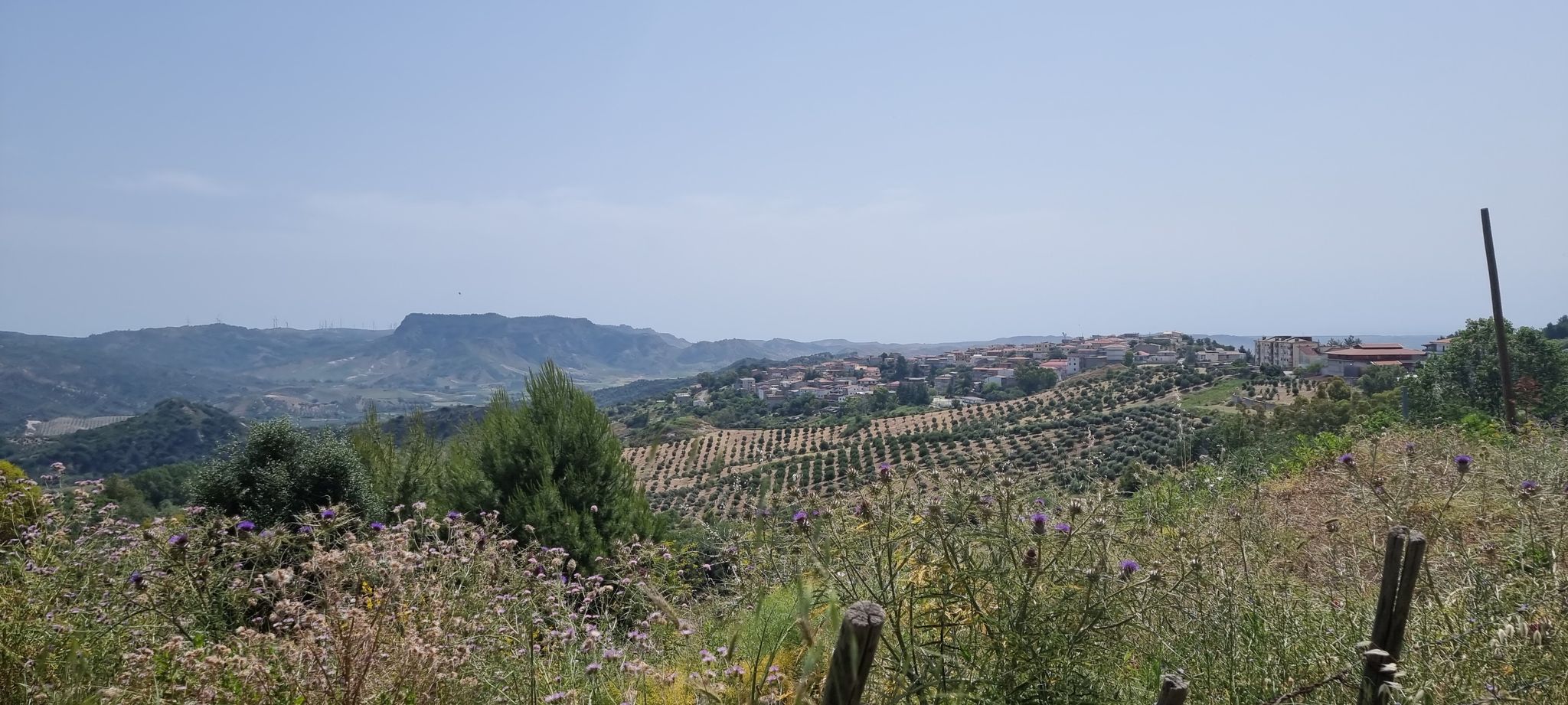 panoramica di Casabona