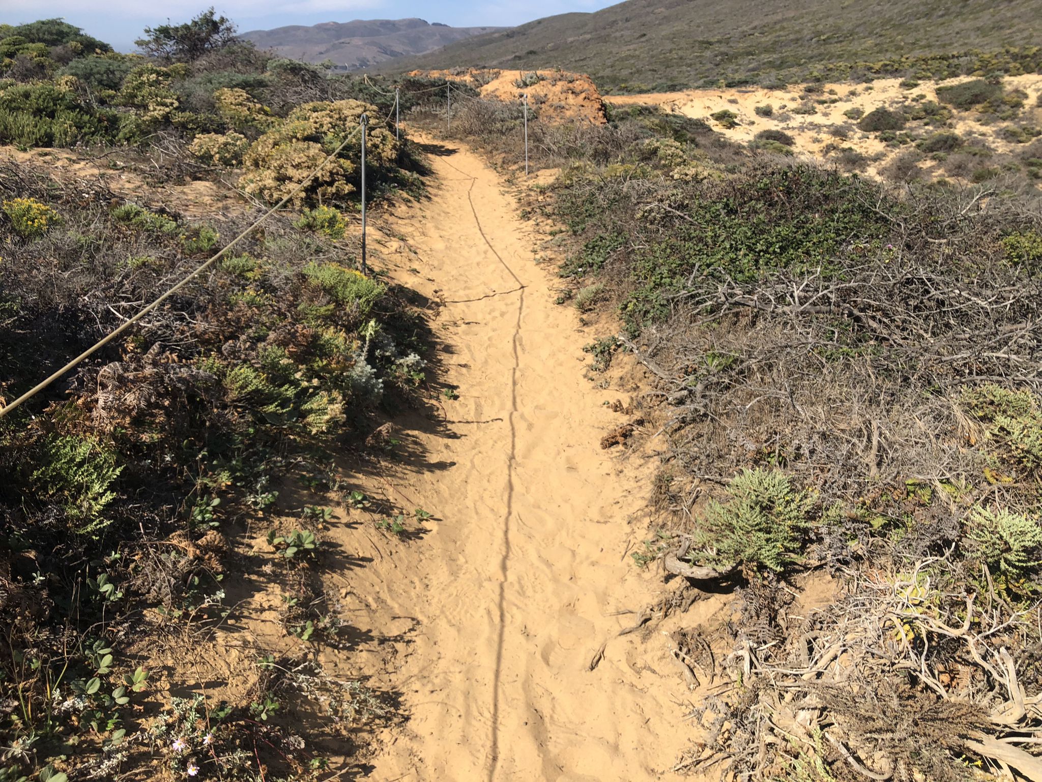 Sandy path with a rope fence through low coastal vegetation on a bright day. - Ridge, Panorama, and Bluffs Trail Loop