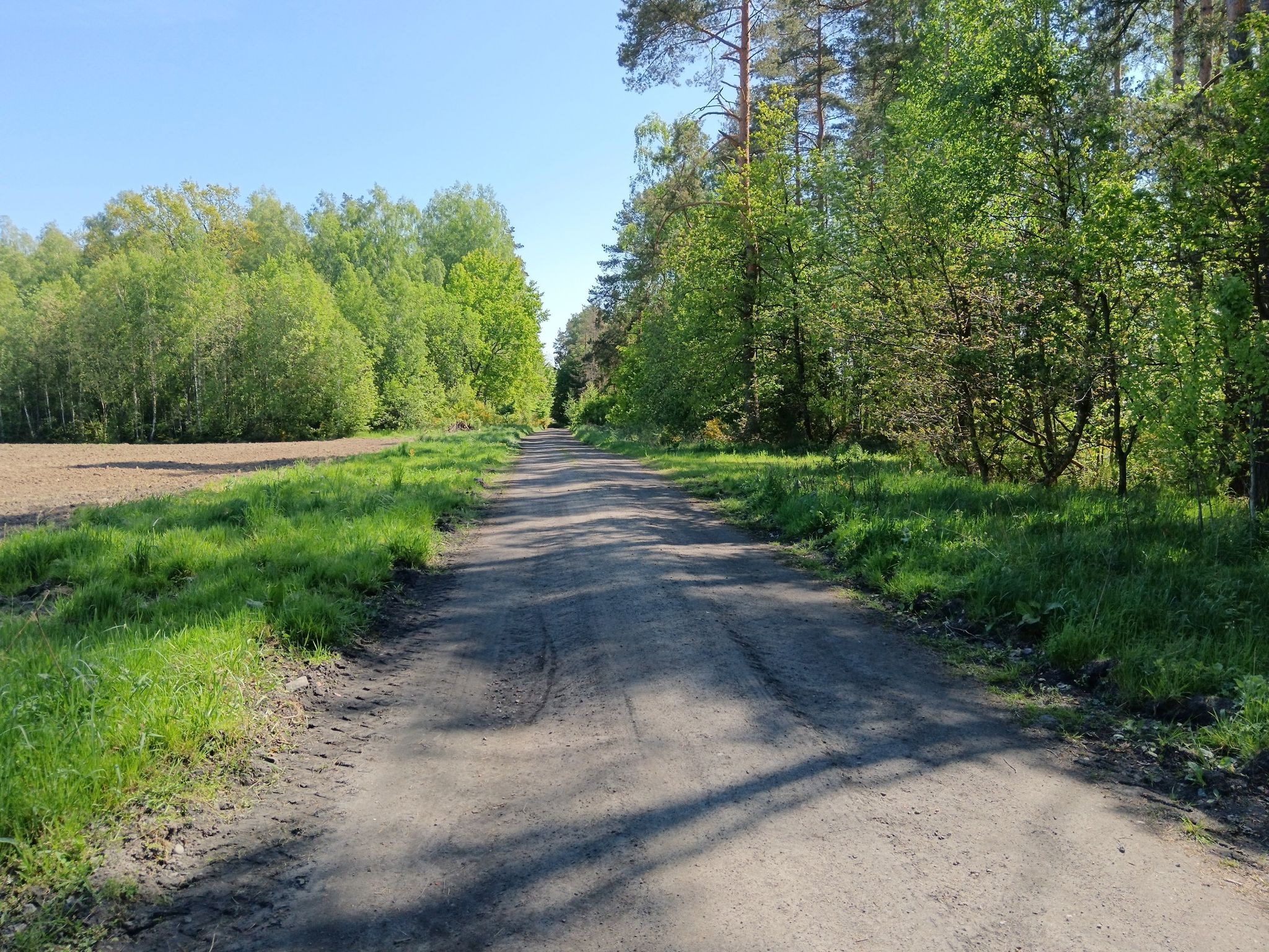 trasa