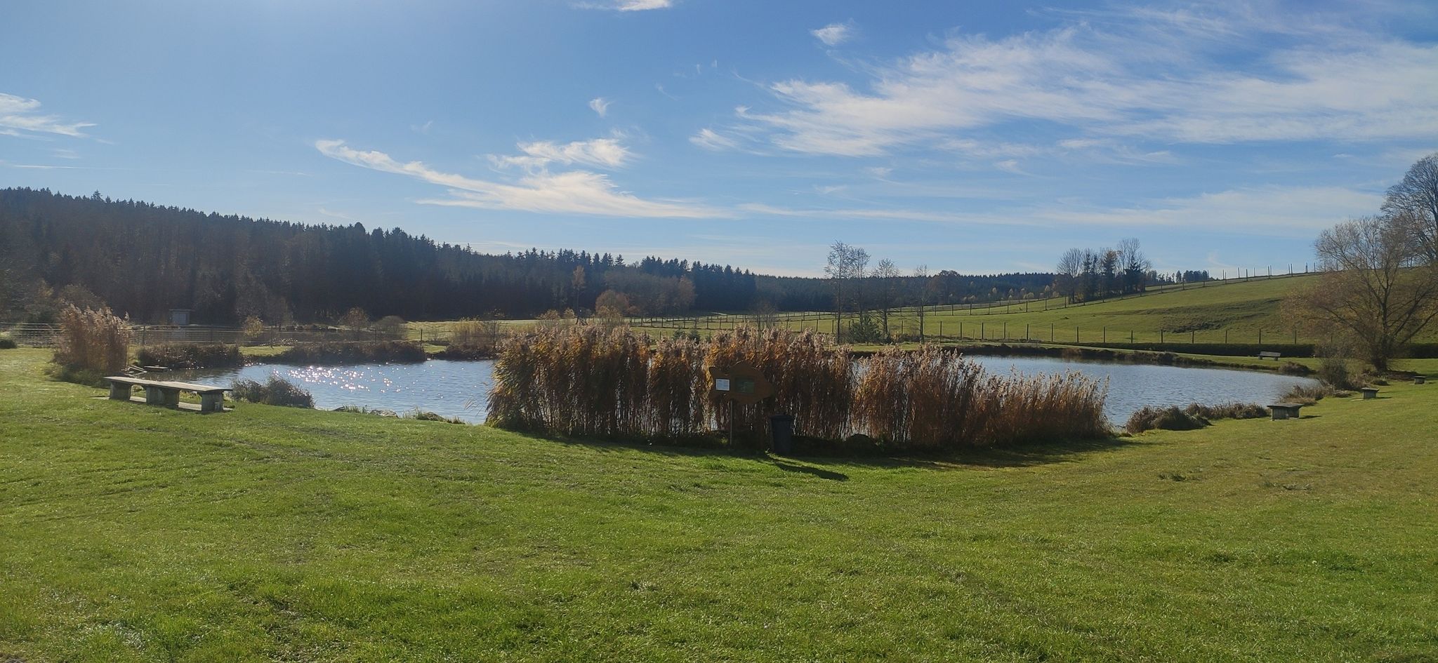 Fischteiche Rading