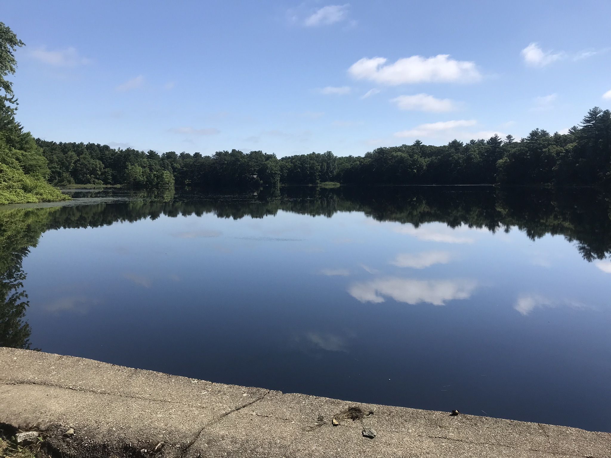 Calm lake reflecting blue sky and clouds, surrounded by green trees. - Granite Hills & Pond Walk Trail loop