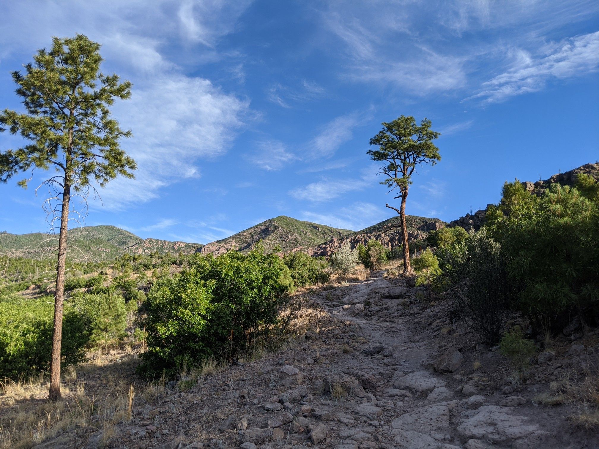 Rocky path leading up a hill with two pine trees under a bright sky. - Guaje Canyon, Pipeline, and Quemazon Trail Loop
