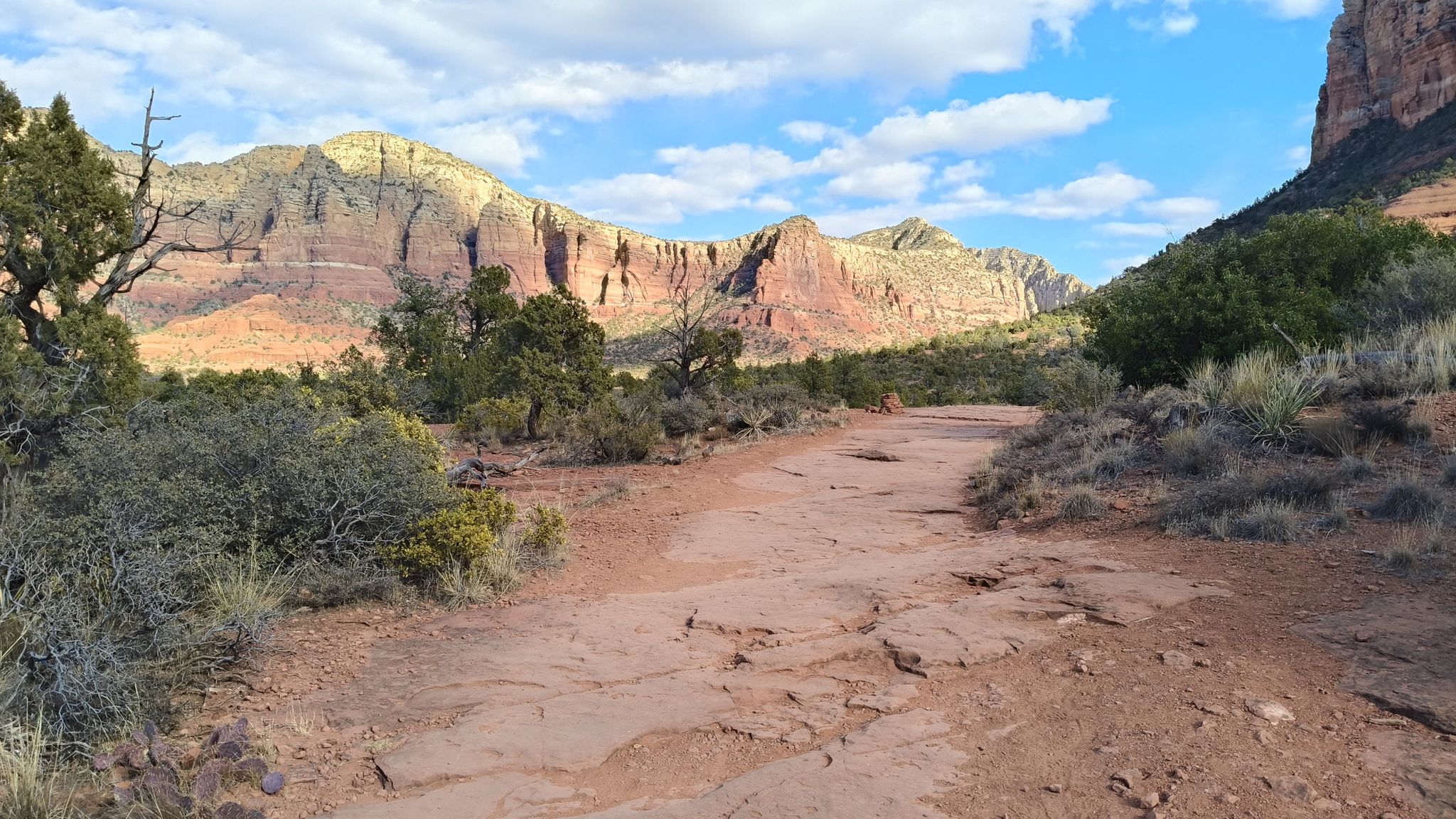 Wide, rocky dirt path through desert plants with distant red rock mountains. - Baby Bell Rock – Chapel of the Holy Cross loop from Red Rock Visitor Center Parking