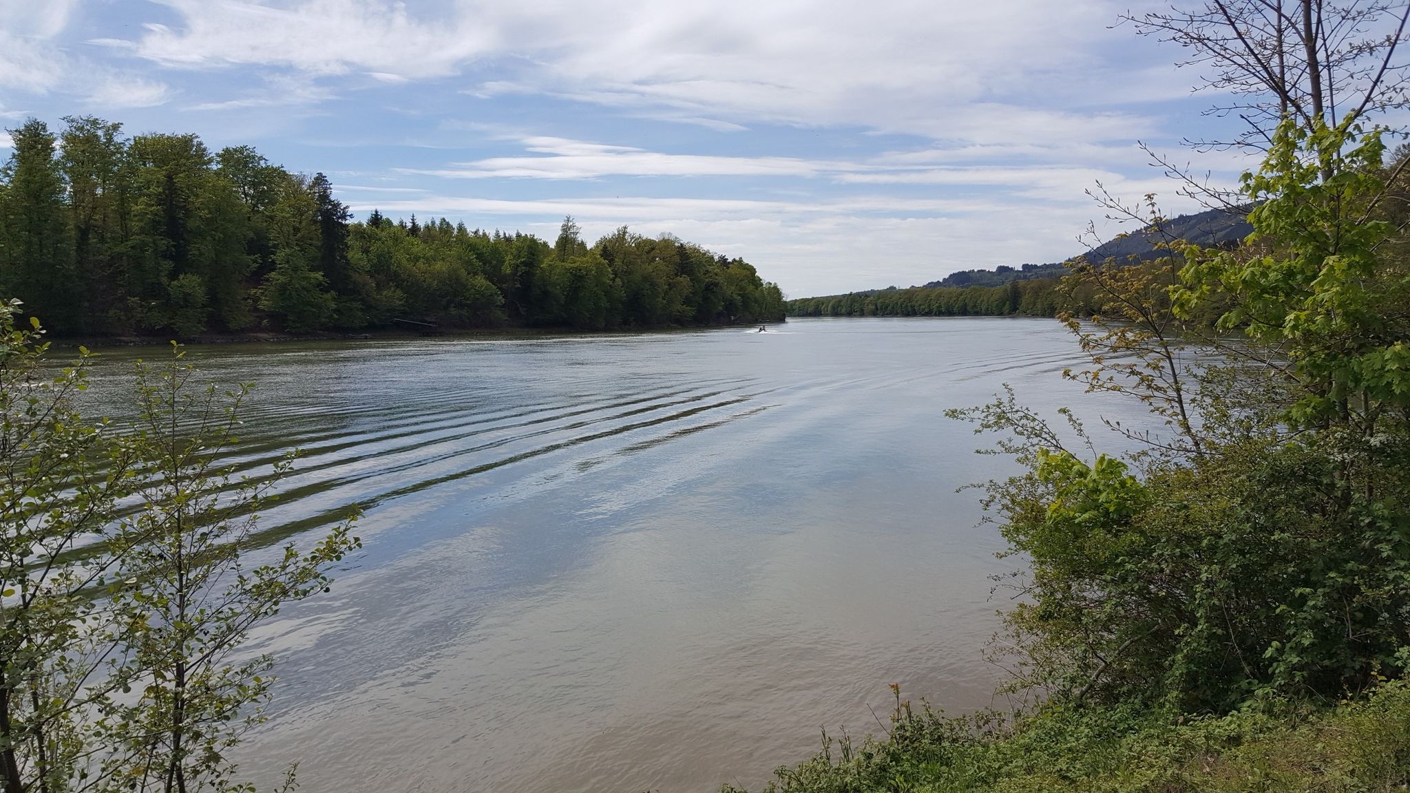 Rhein