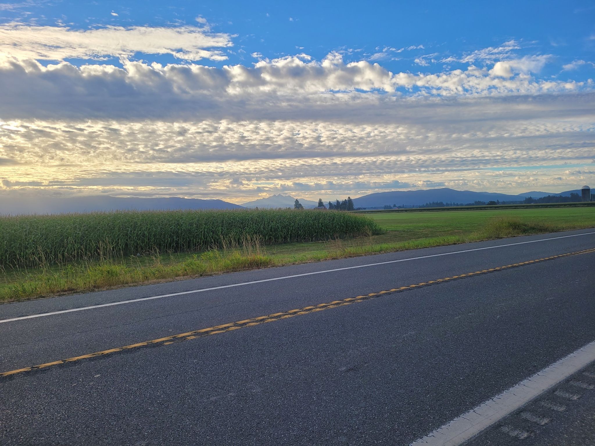 Road alongside green fields with distant mountains under a dramatic sky. - Hannegan Road and Lynden Loop