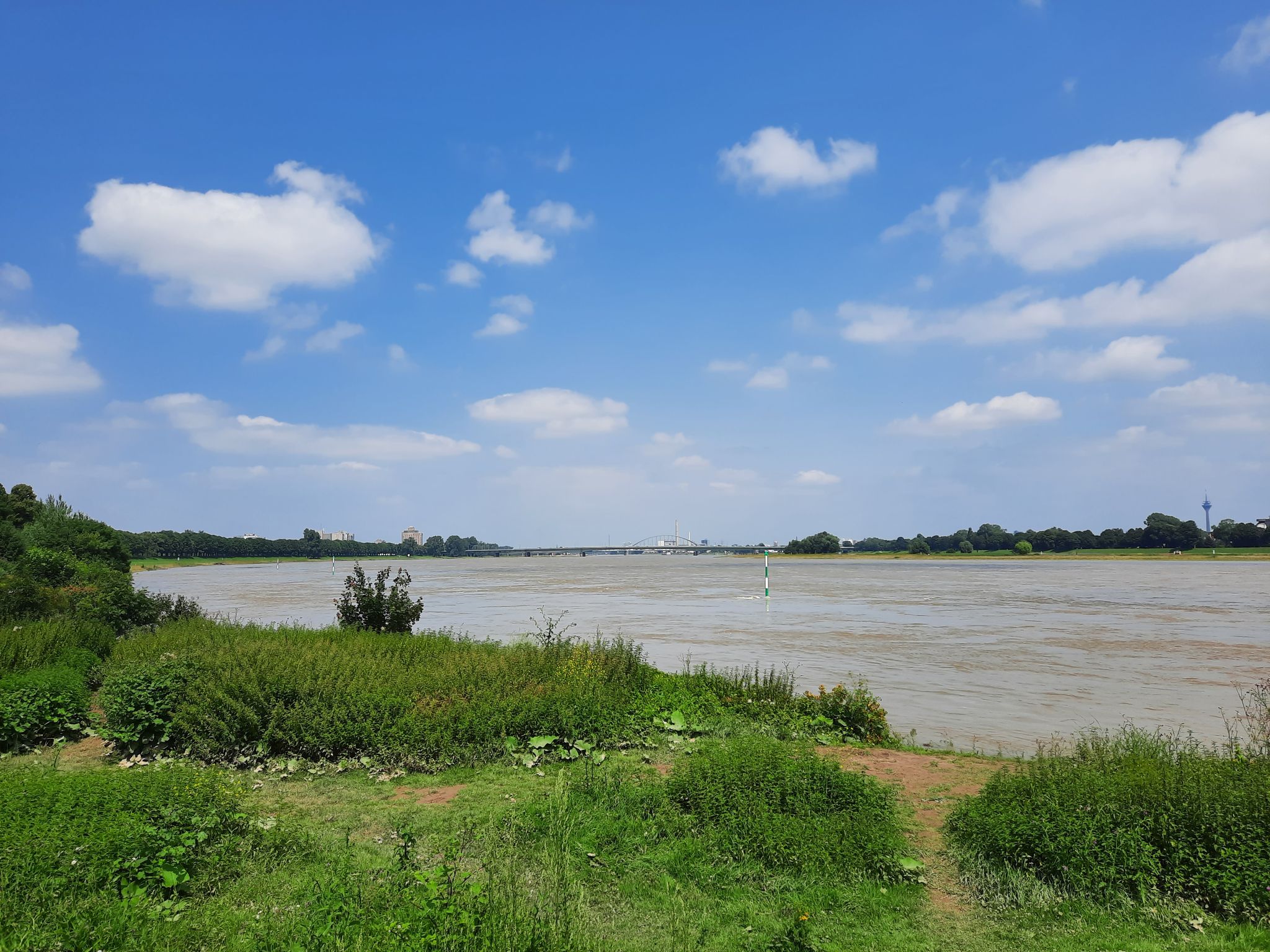 Rhein im Bereich Erftmündung