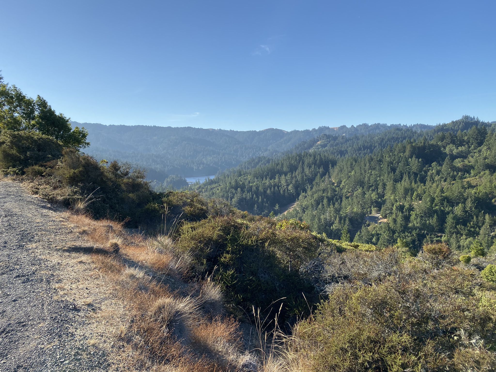 Sunny view of dense green forested hills with a distant lake. - Carson Falls and Pine Mountain Loop
