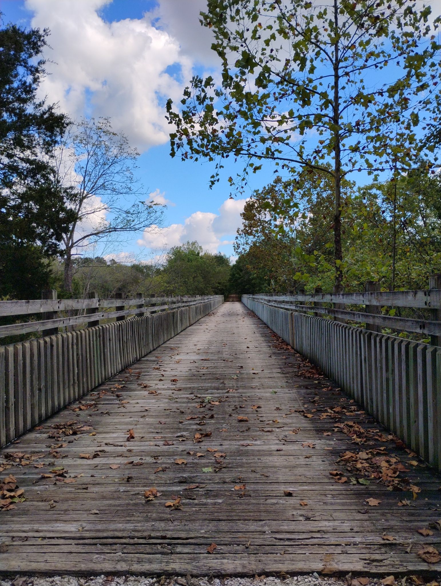 Wooden bridge with railings, covered in autumn leaves, under blue sky. - Frisco Highline Trail