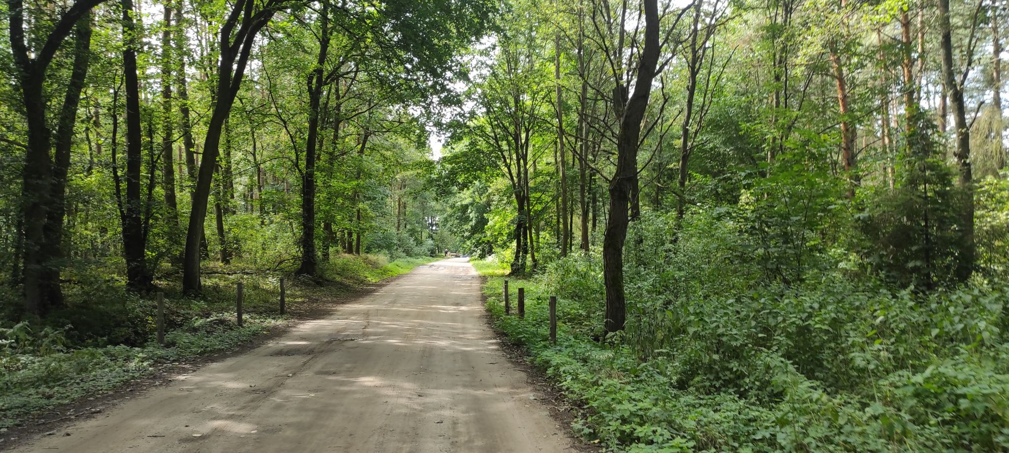 nice single path