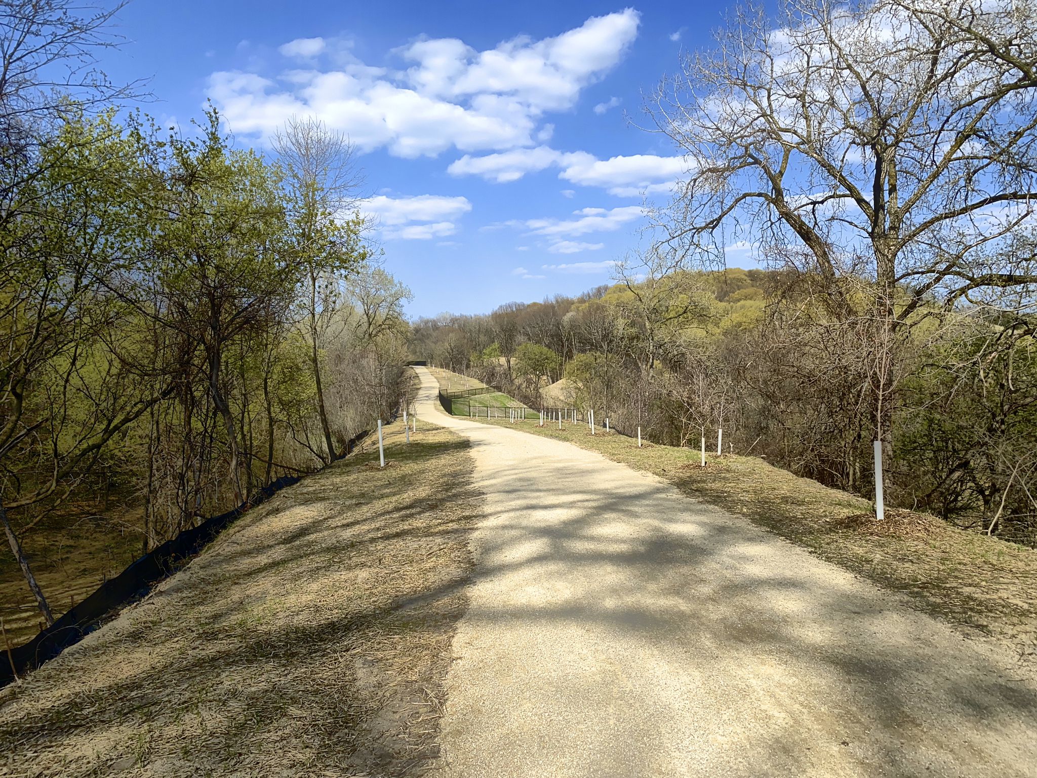 A winding dirt path through a wooded landscape under a bright blue sky. - Minnesota River Bluffs LRT Regional Trail