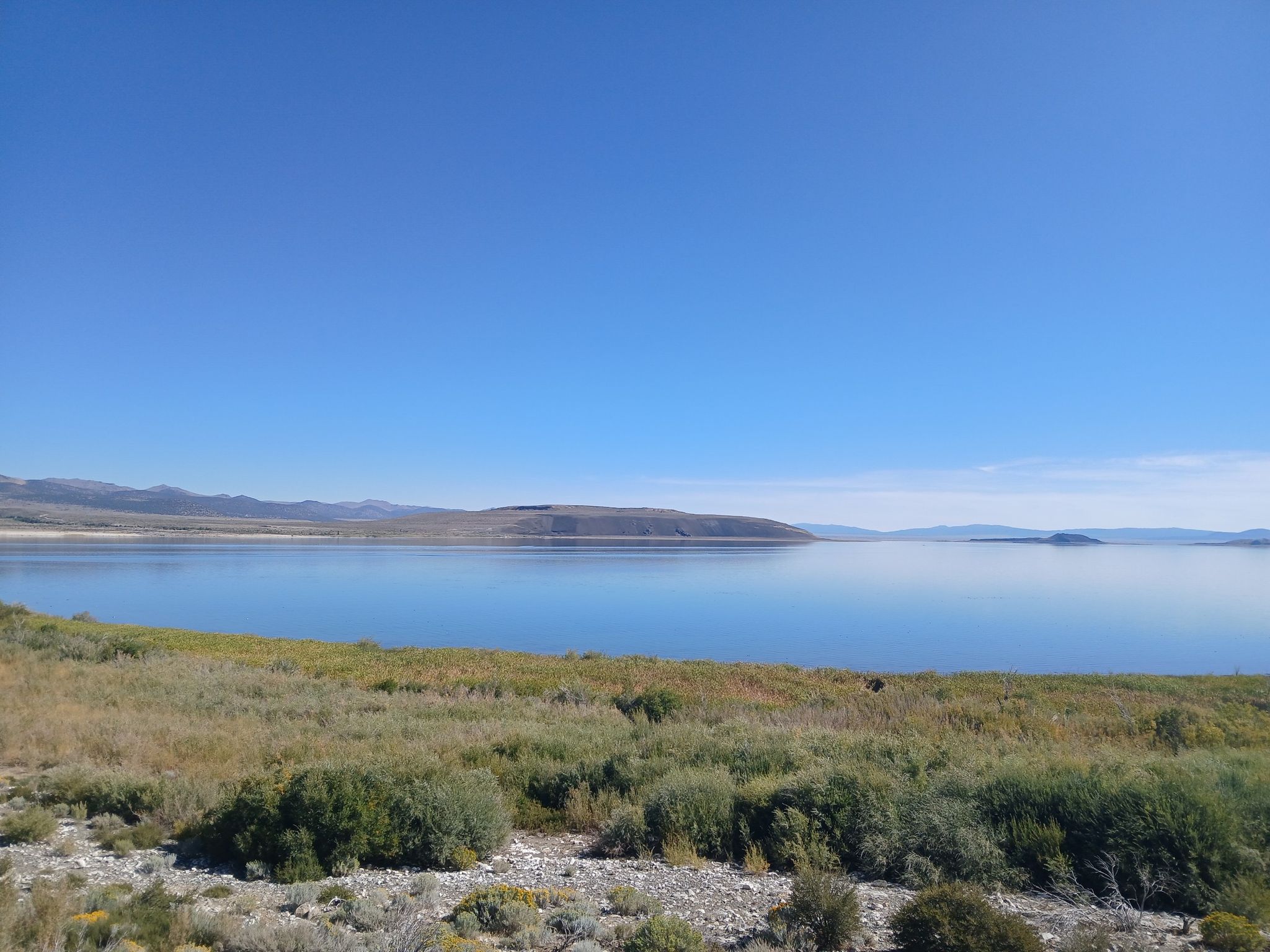 Expansive calm lake with brushy foreground, distant hills, and a clear blue sky. - Lee Vining to Lundy Lake