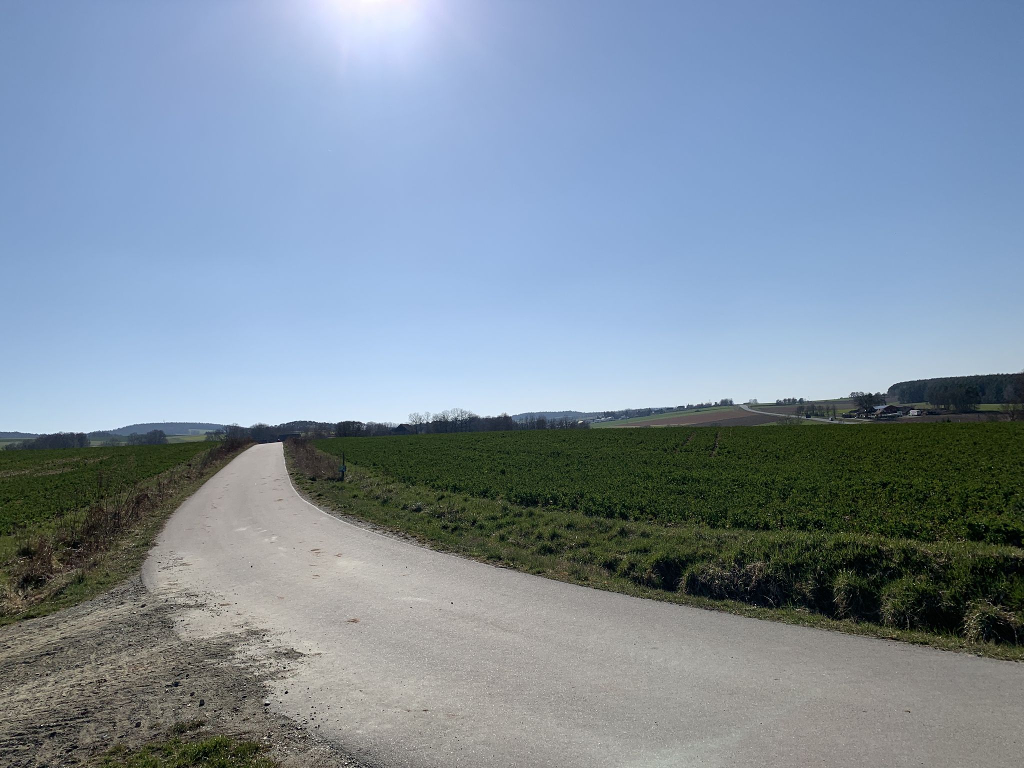 Kohlbergblick 