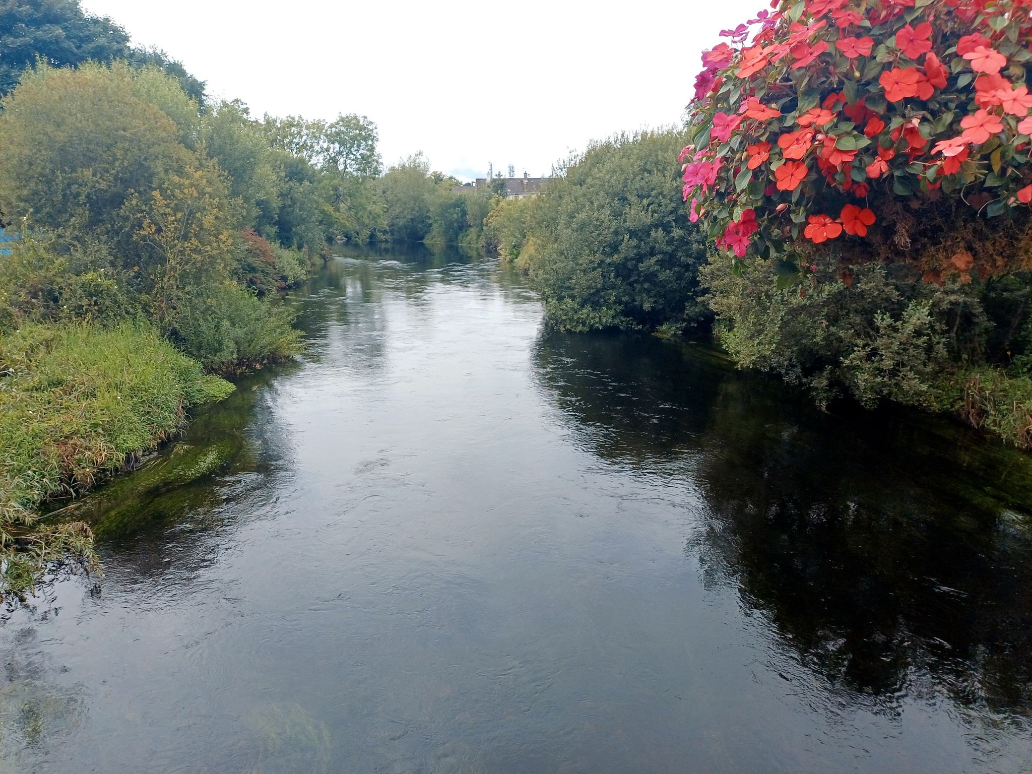 Fluss Fergus