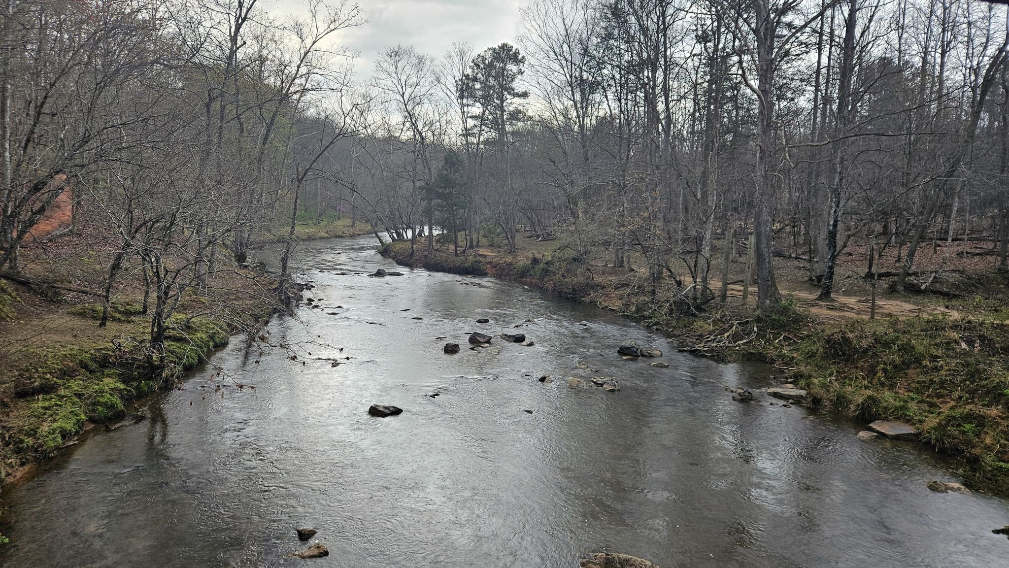 A winding river with rocks, surrounded by bare winter trees under a cloudy sky. - Cox Mountain Trail