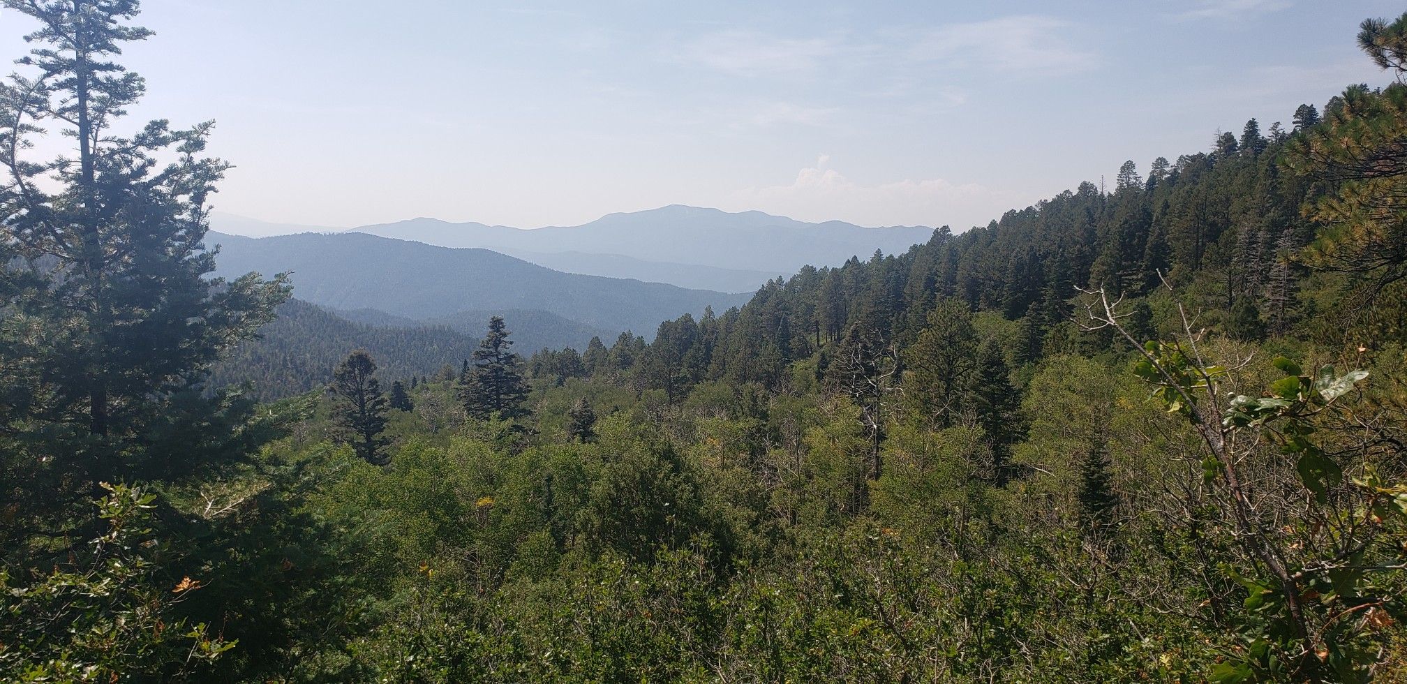 Expansive view of lush green forests covering multiple mountain ranges under a bright sky. - View of Taos – El Nogal Trailhead loop from PDC @ Weimer