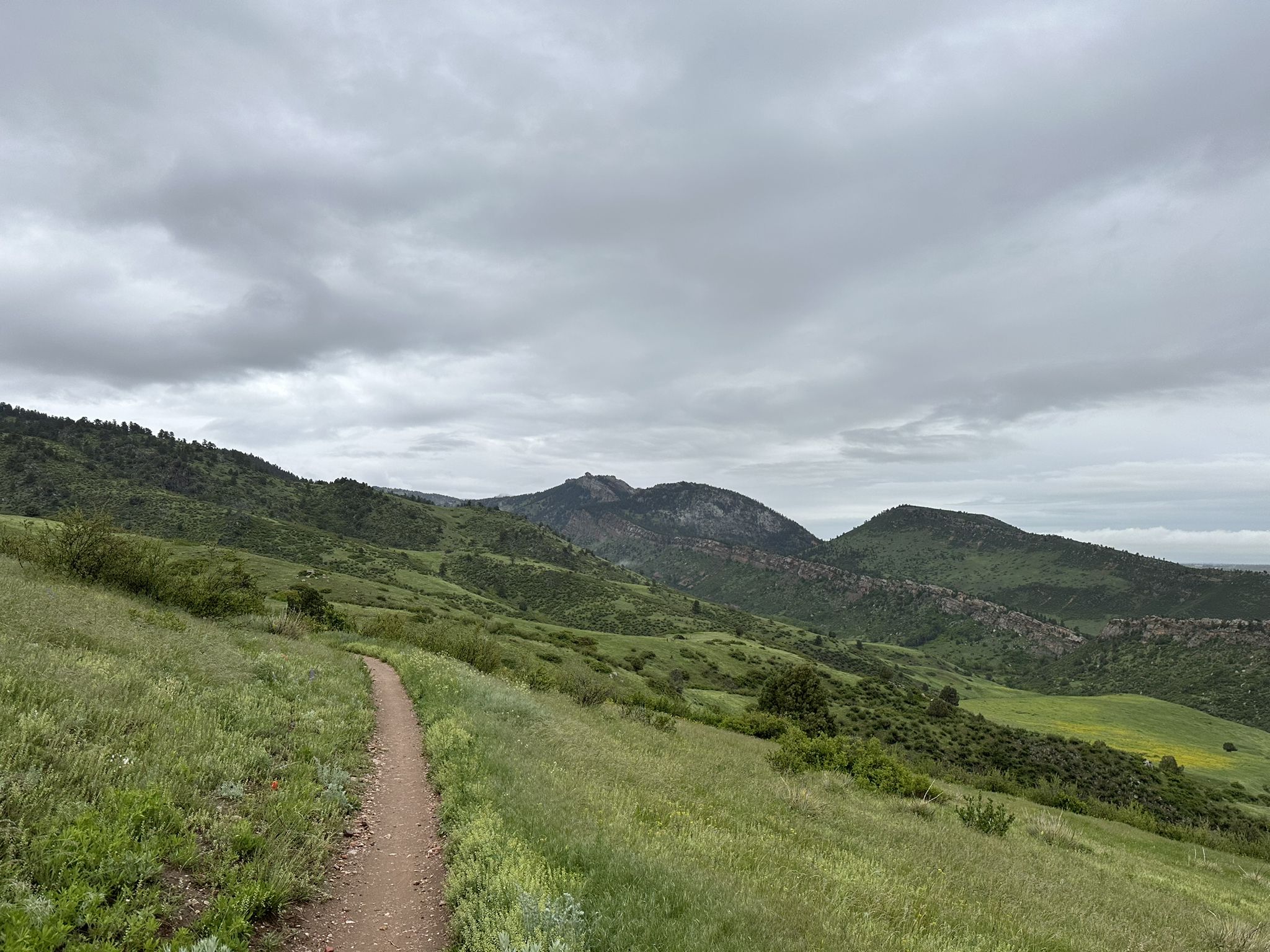 Narrow dirt trail winding through lush green hills under a cloudy sky. - Belcher Hill, Longhorn, and Maverick Trail Loop