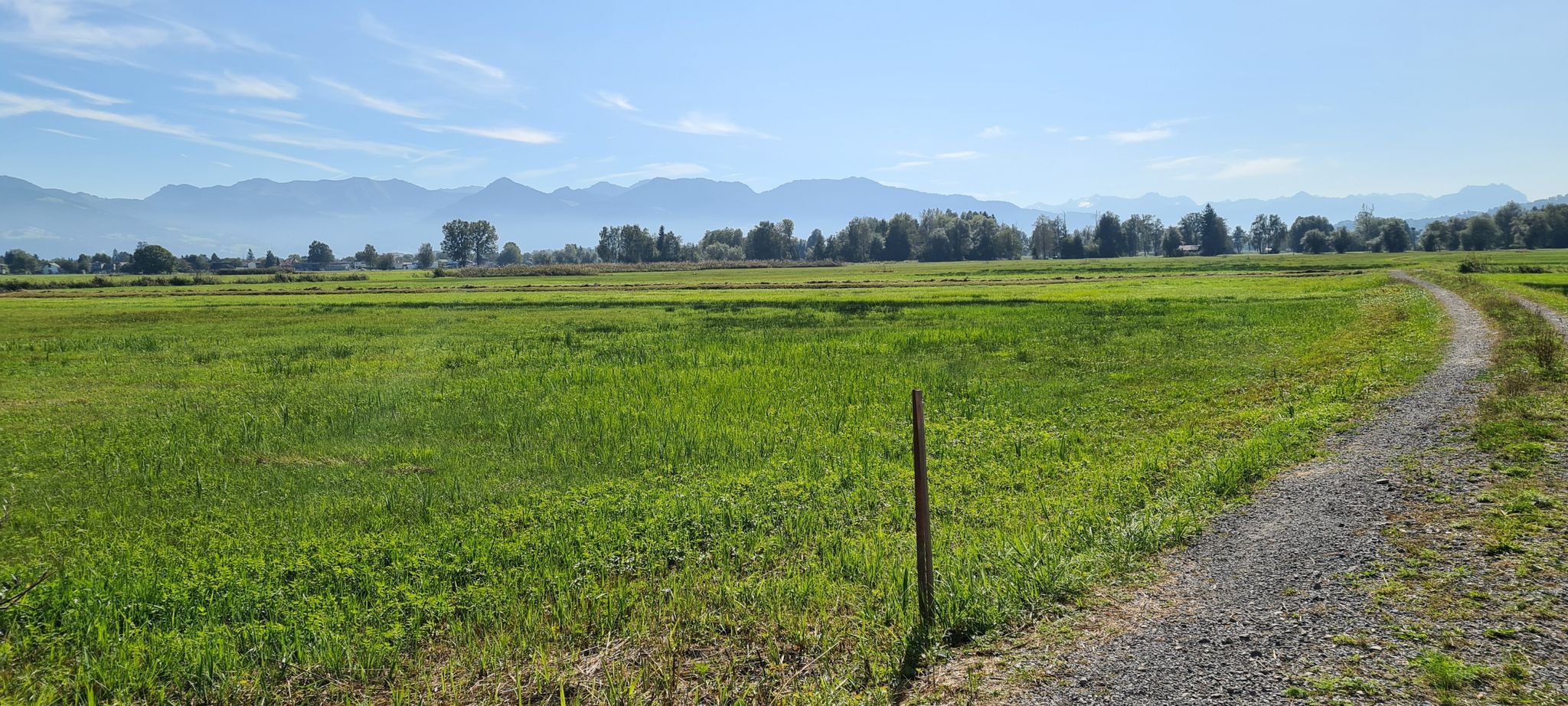 Rheindelta