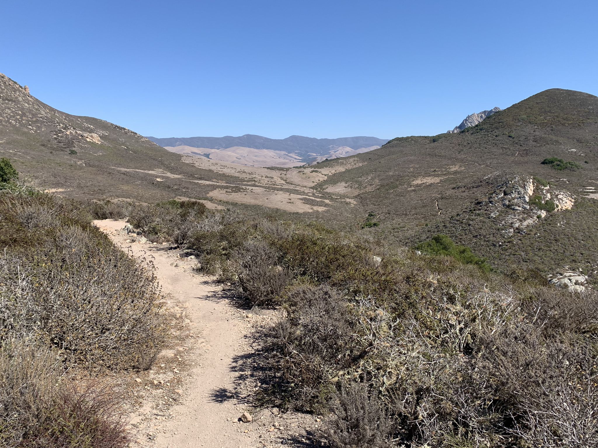 A dirt trail winds through dry, brushy hills under a clear blue sky. - Quarry and Park Ridge Loop Trail