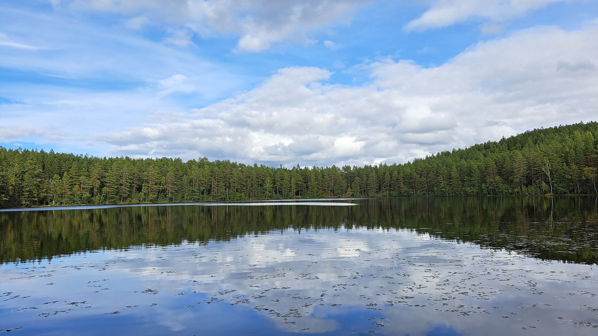 Seeblick 2