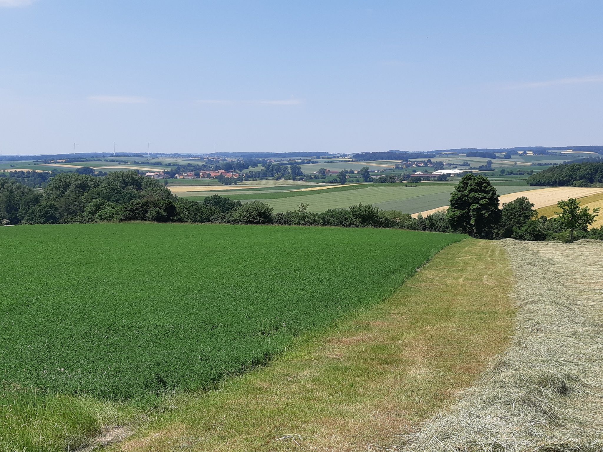 Blick vom Hesselberg