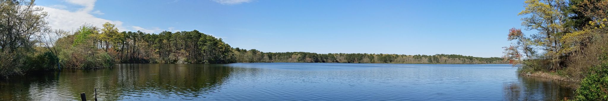 Panoramic view of a calm lake surrounded by green trees under a blue sky. - West Reservoir