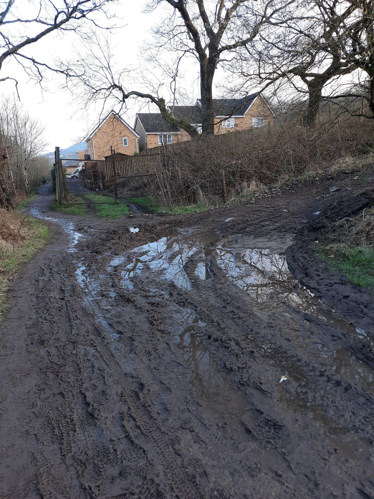 Rear of Clos Gellifaelog, Tonypandy