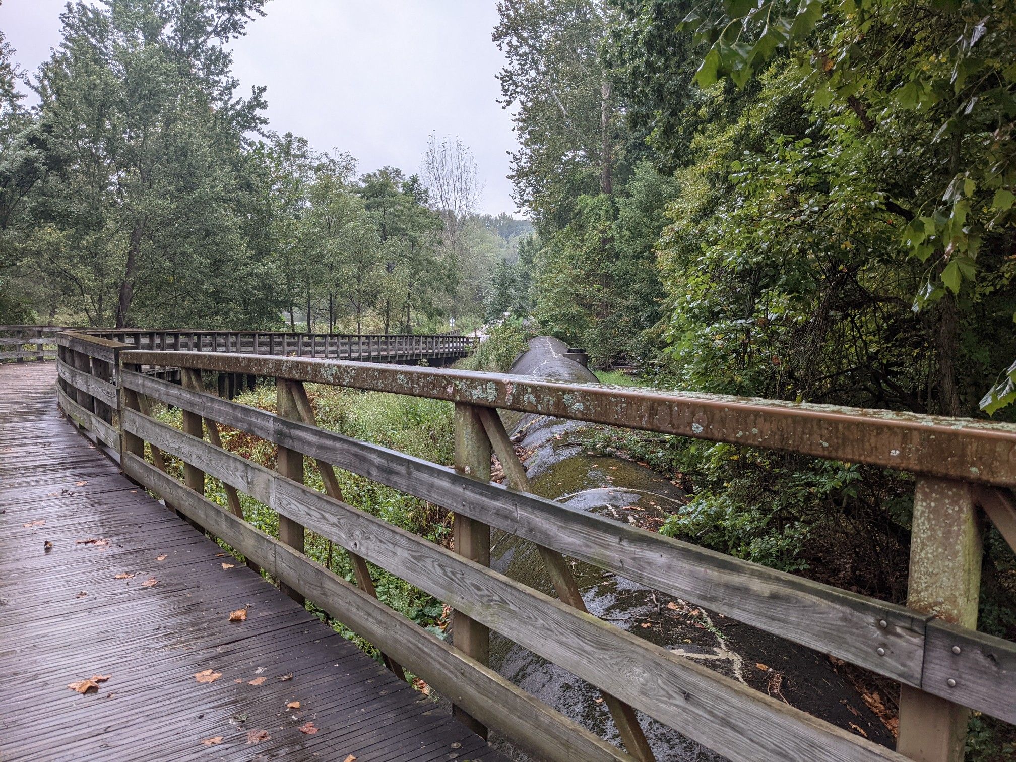 Wooden boardwalk over a stream, surrounded by green trees on an overcast day. - Nice covered bridge – Cascade Valley Metropark loop from Akron