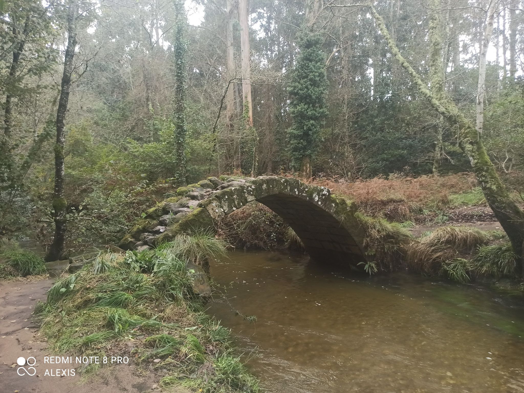 puente de Rio Sieira